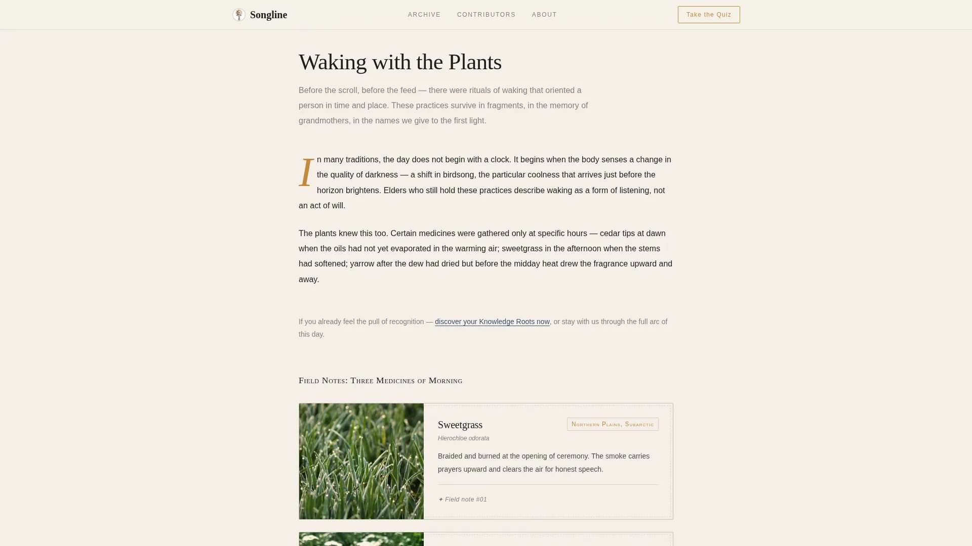 Indigenous Wisdom Editorial Landing Page Template