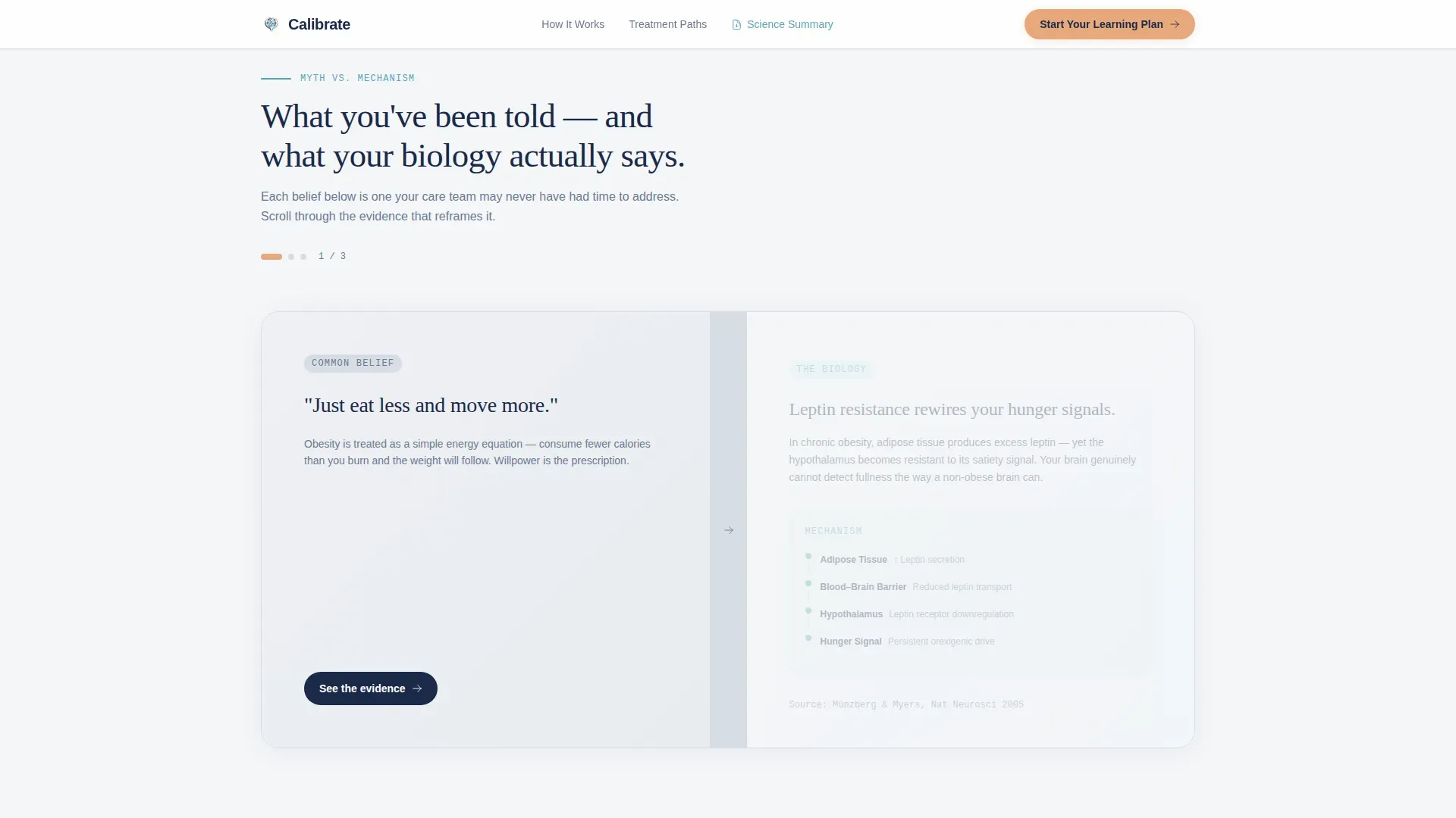 Obesity Care Education Website Template