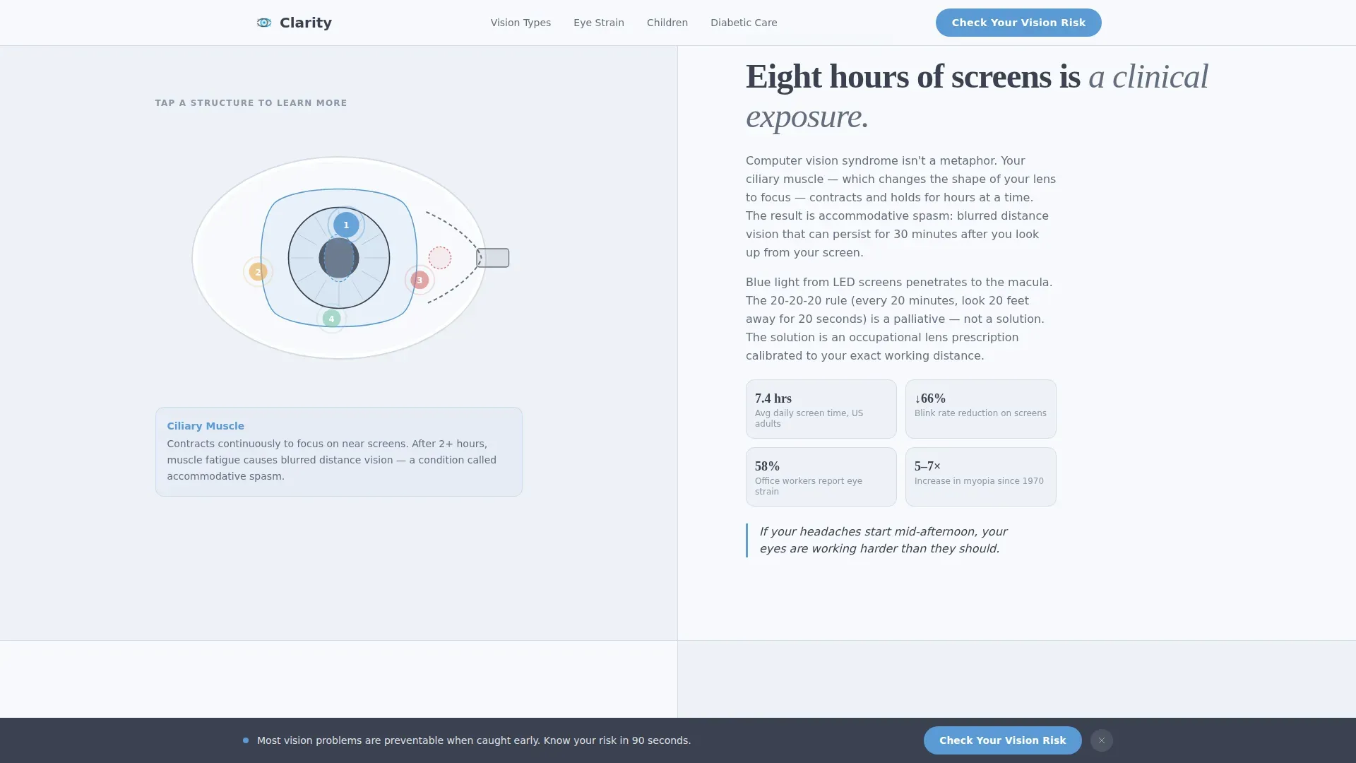 Optometrist Booking Website Template