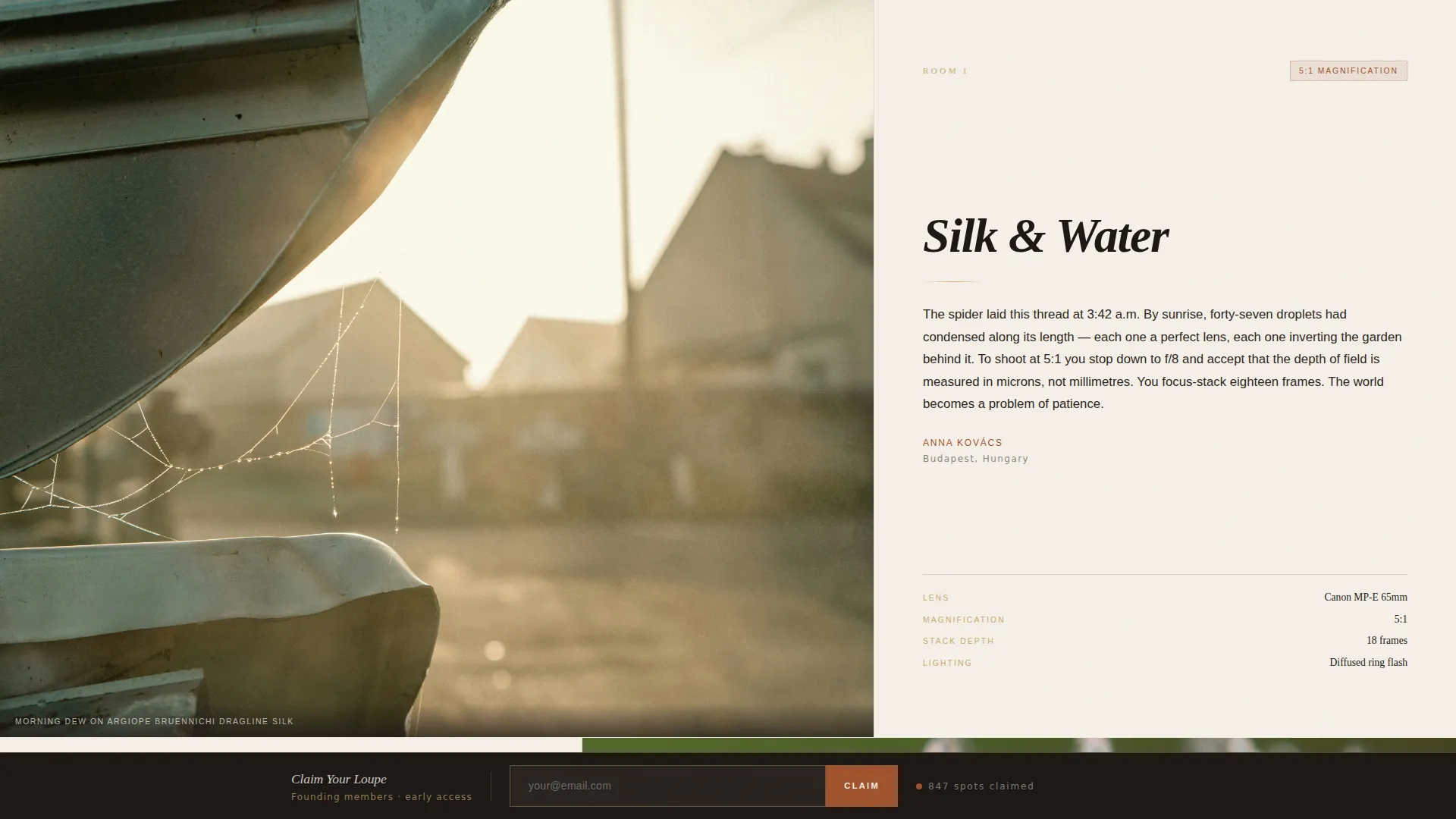 Editorial Macro Photography Landing Page Template
