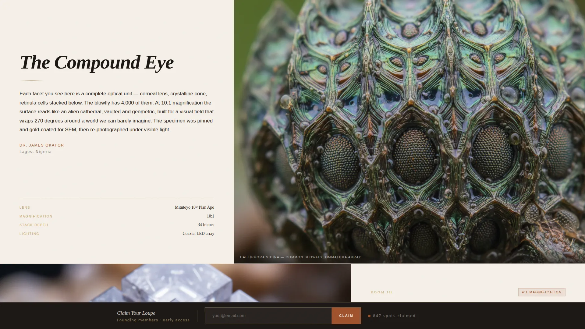 Editorial Macro Photography Landing Page Template