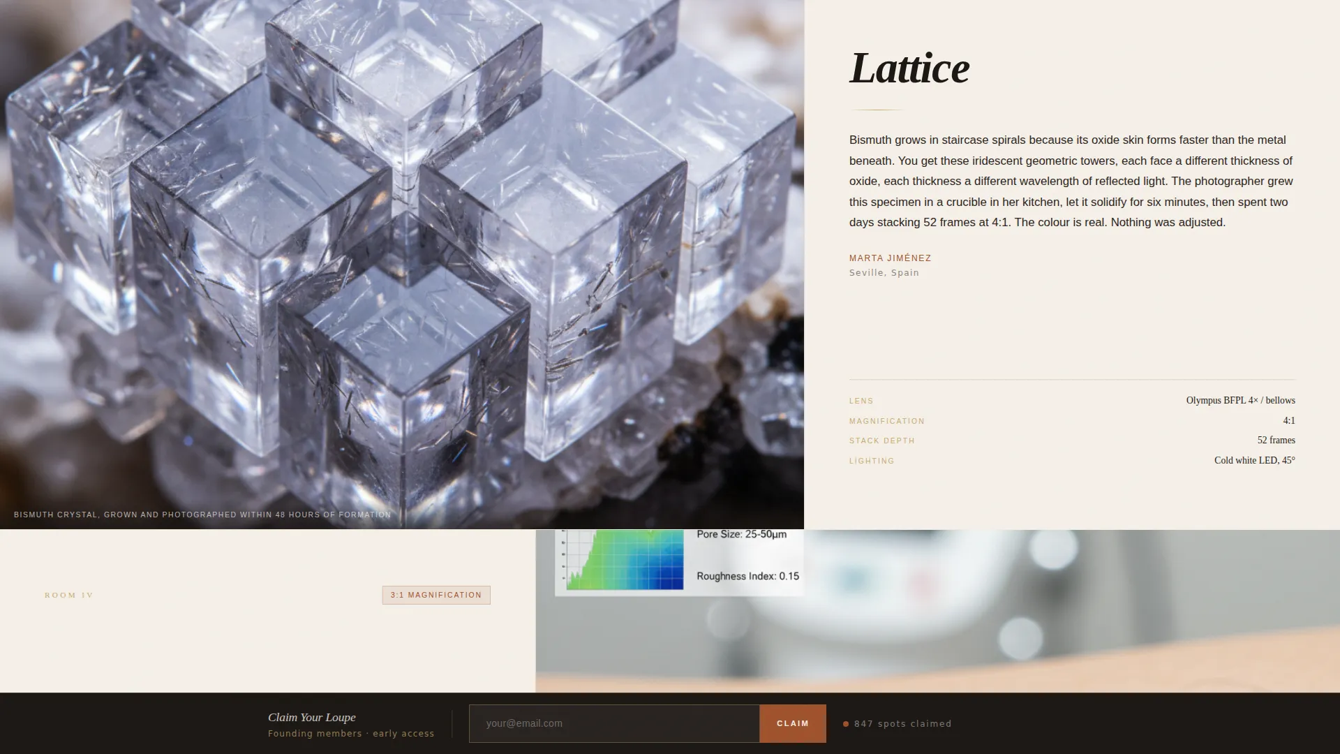 Editorial Macro Photography Landing Page Template