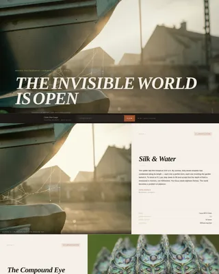 Editorial Macro Photography Landing Page Template