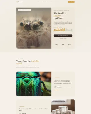 Macro Photography Podcast Landing Page Template