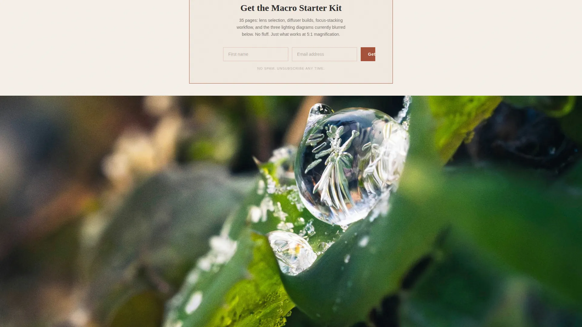 Macro Photography Landing Page Template