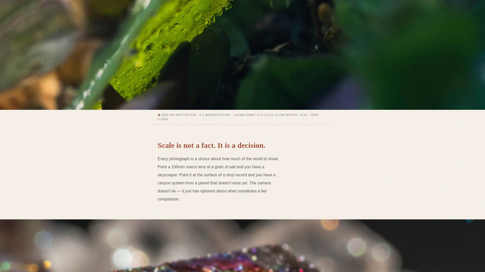 Macro Photography Landing Page Template