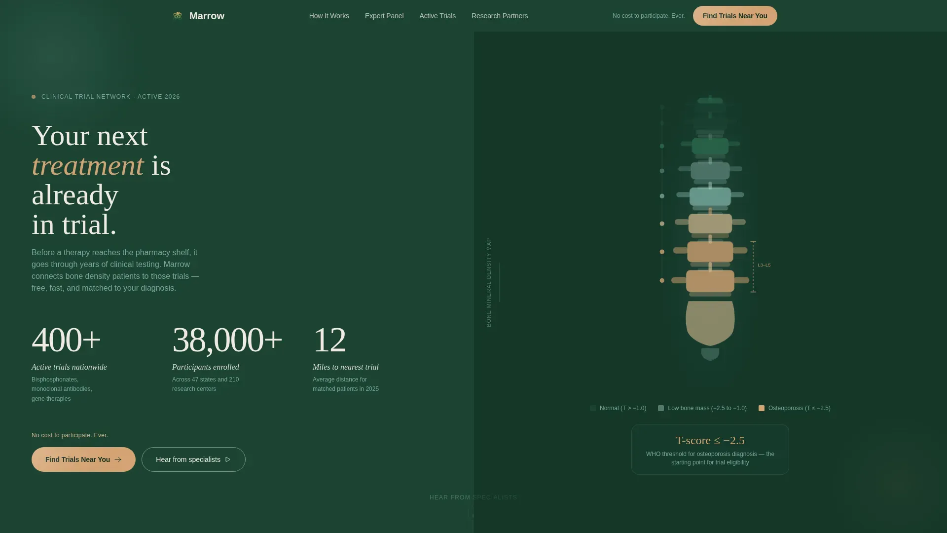 Osteoporosis Care Professional Website Template