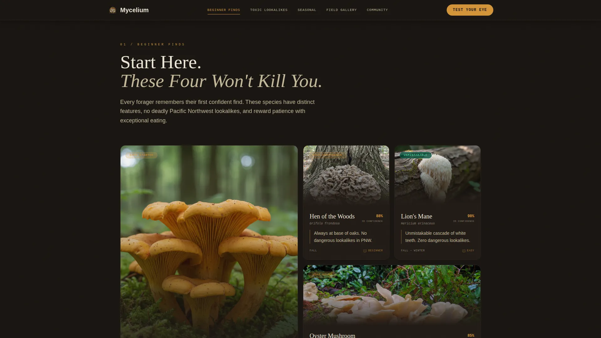 Hobby & Passion Content Blog & Content Website Template