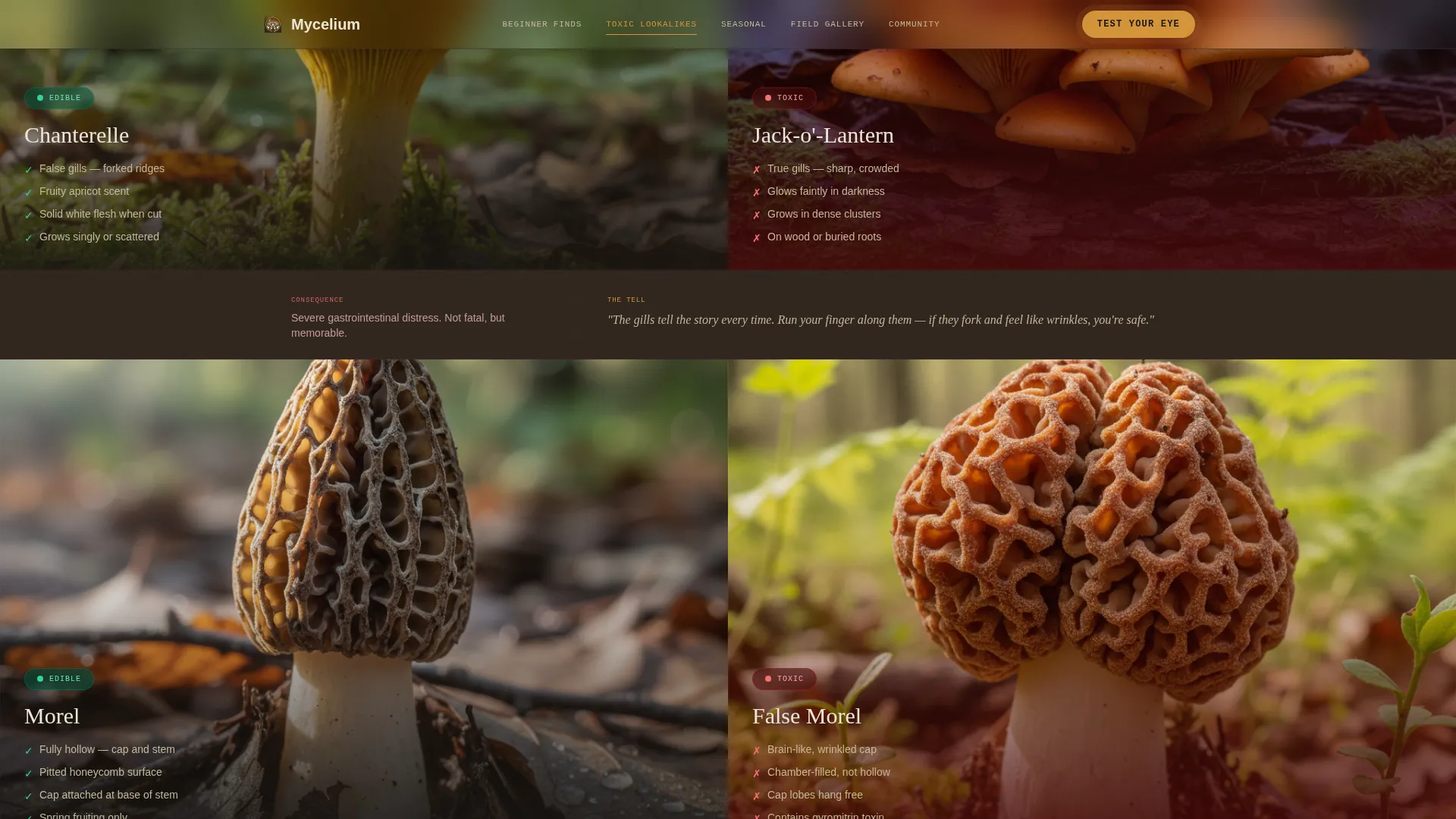 Hobby & Passion Content Blog & Content Website Template
