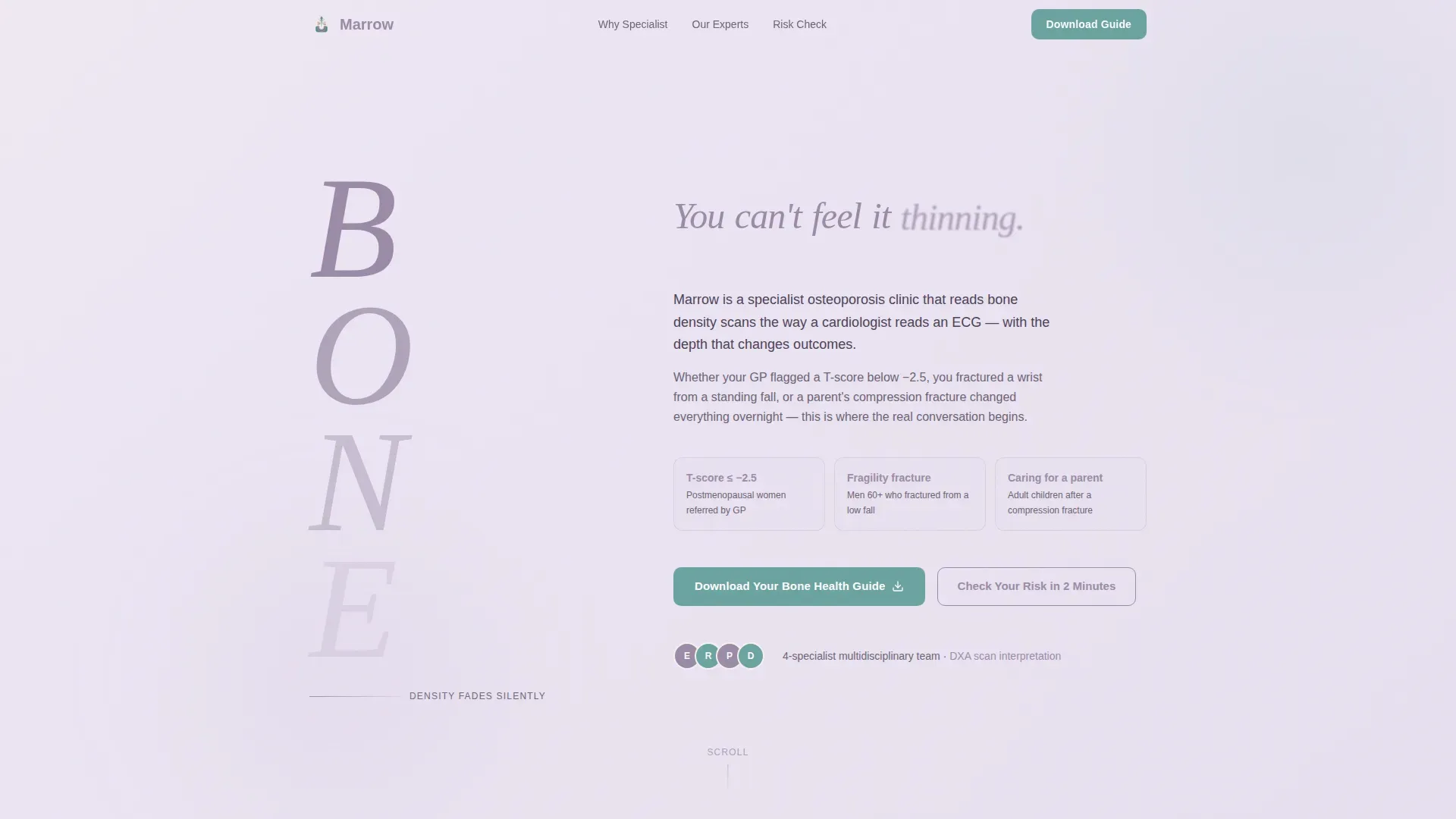 Osteoporosis Care Professional Website Template