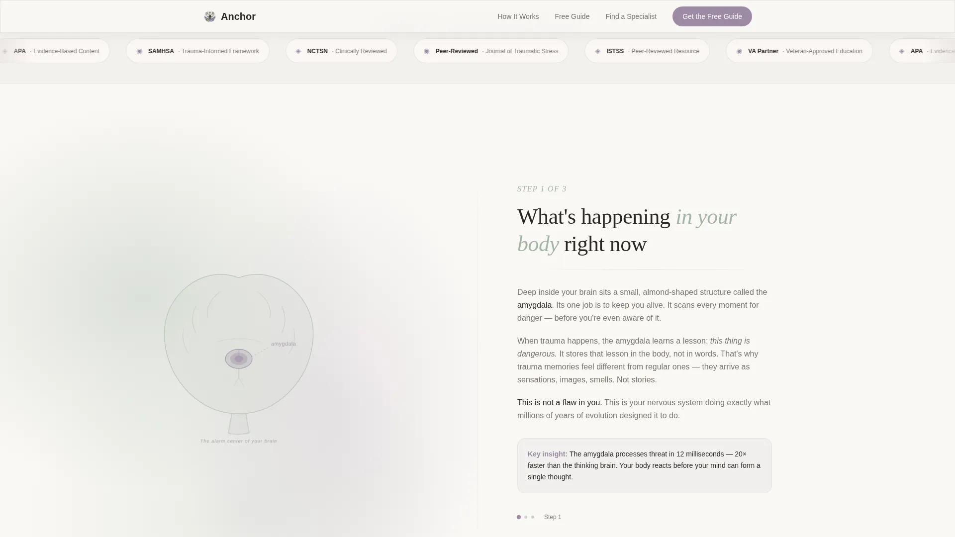 PTSD Patient Education Landing Page Template