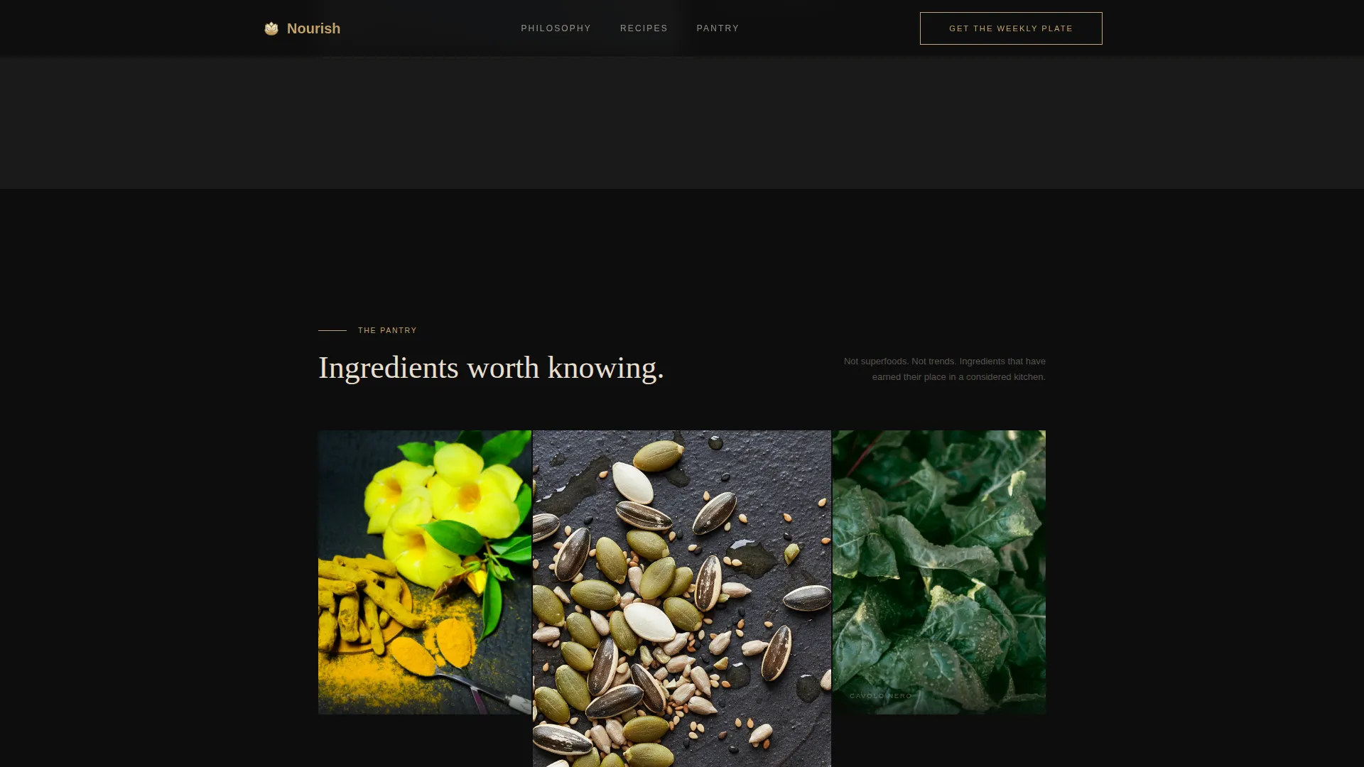 Elegant Nutrition Blog Landing Page Template