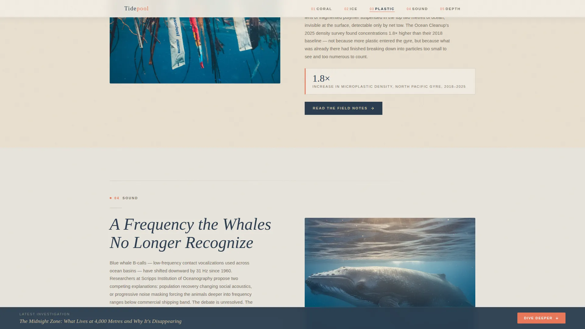 Ocean Conservation Blog Landing Page Template