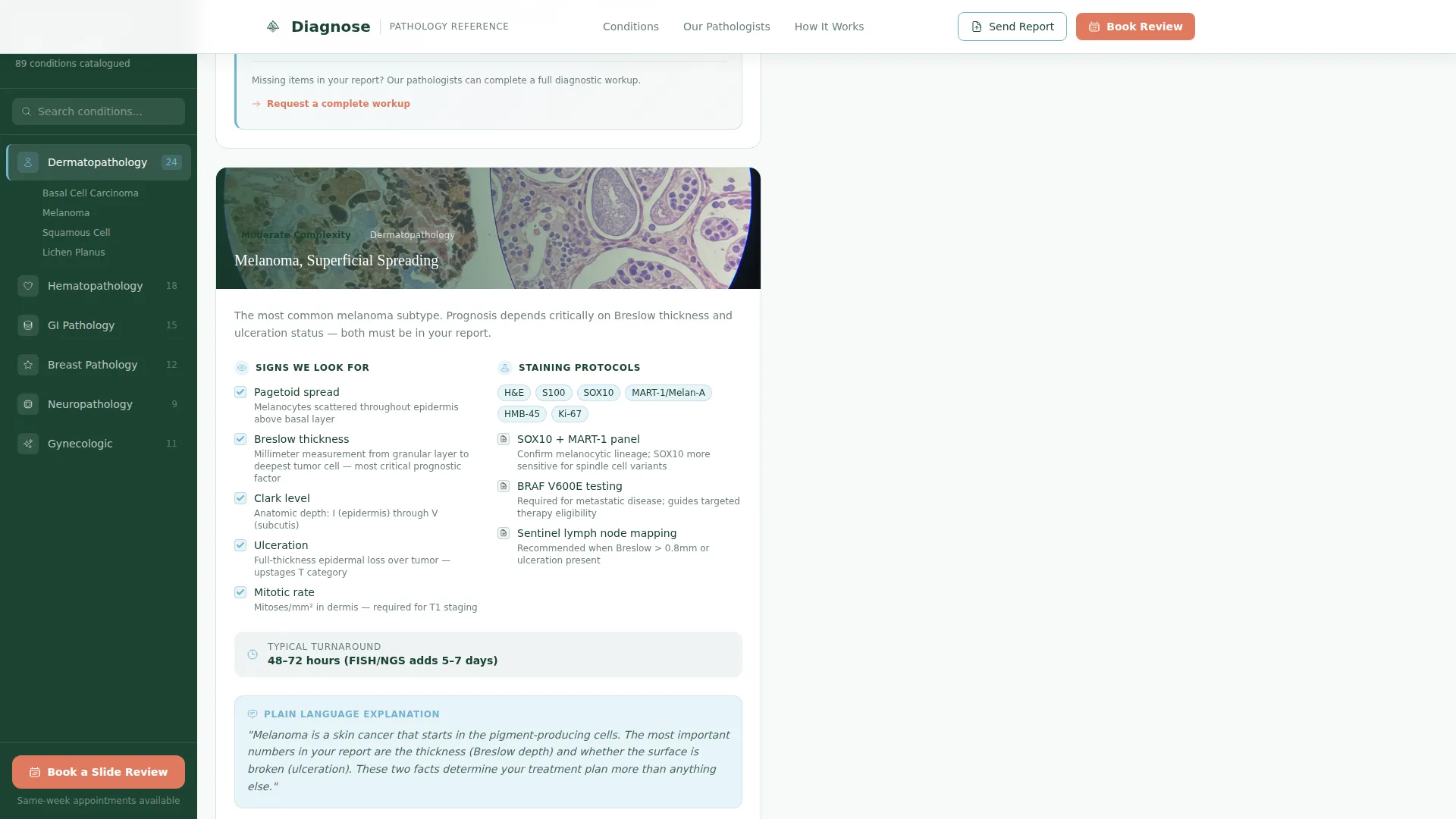 Pathologist Booking Website Template