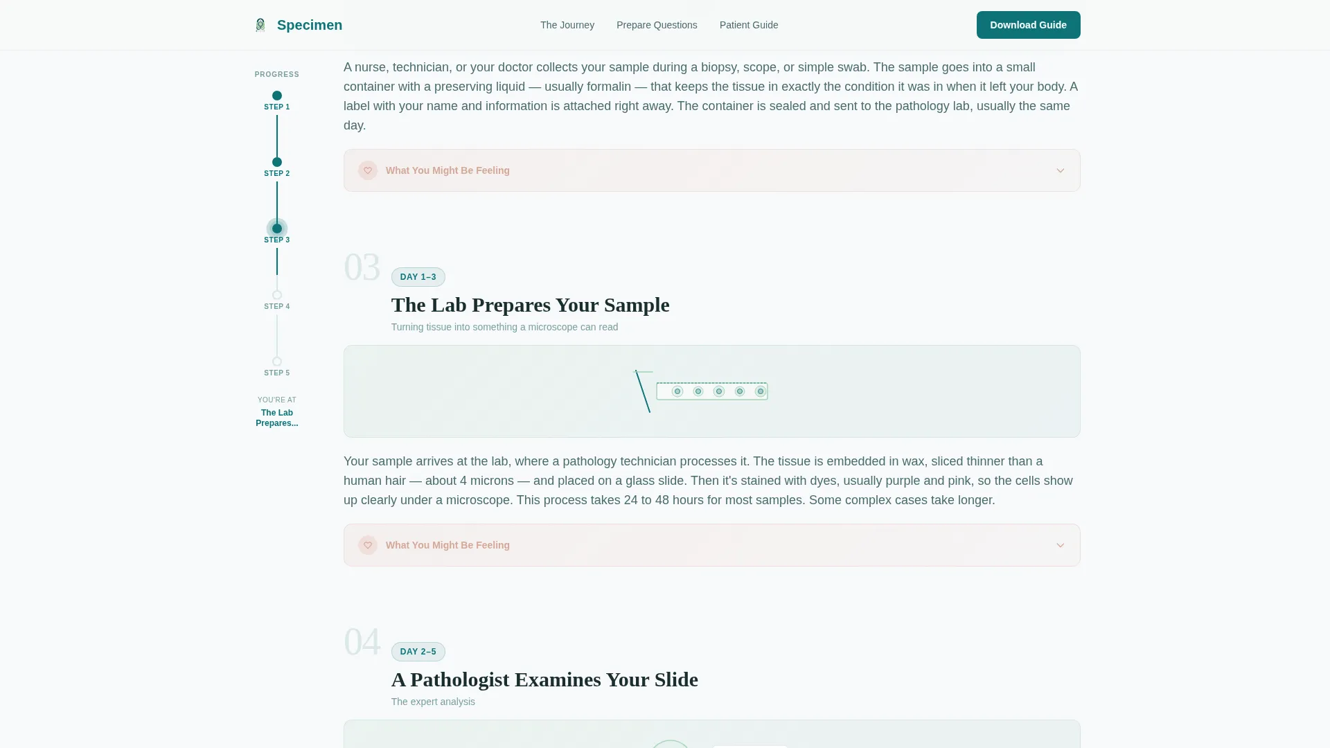 Pathologist New Patient Welcome Landing Page
