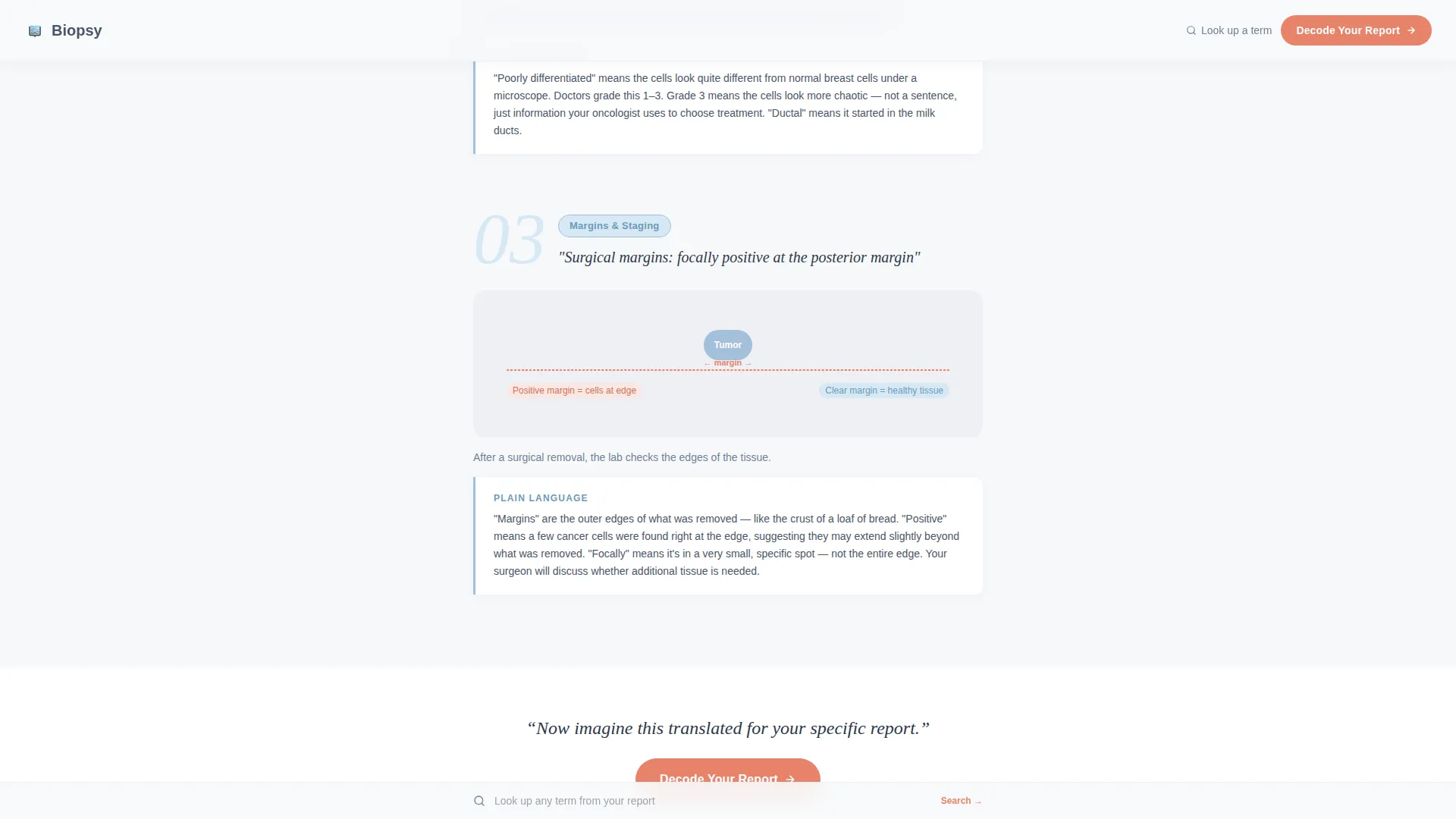 Pathology Medicine Patient Education Website Template