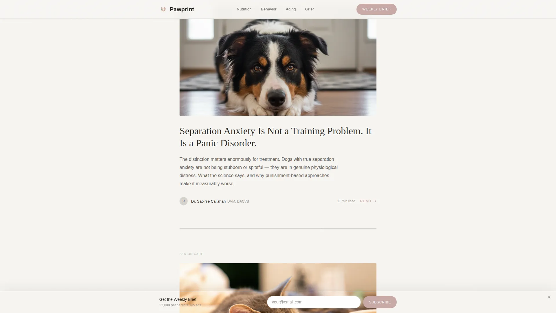 Pet Care Thought Leadership Blog Landing Page