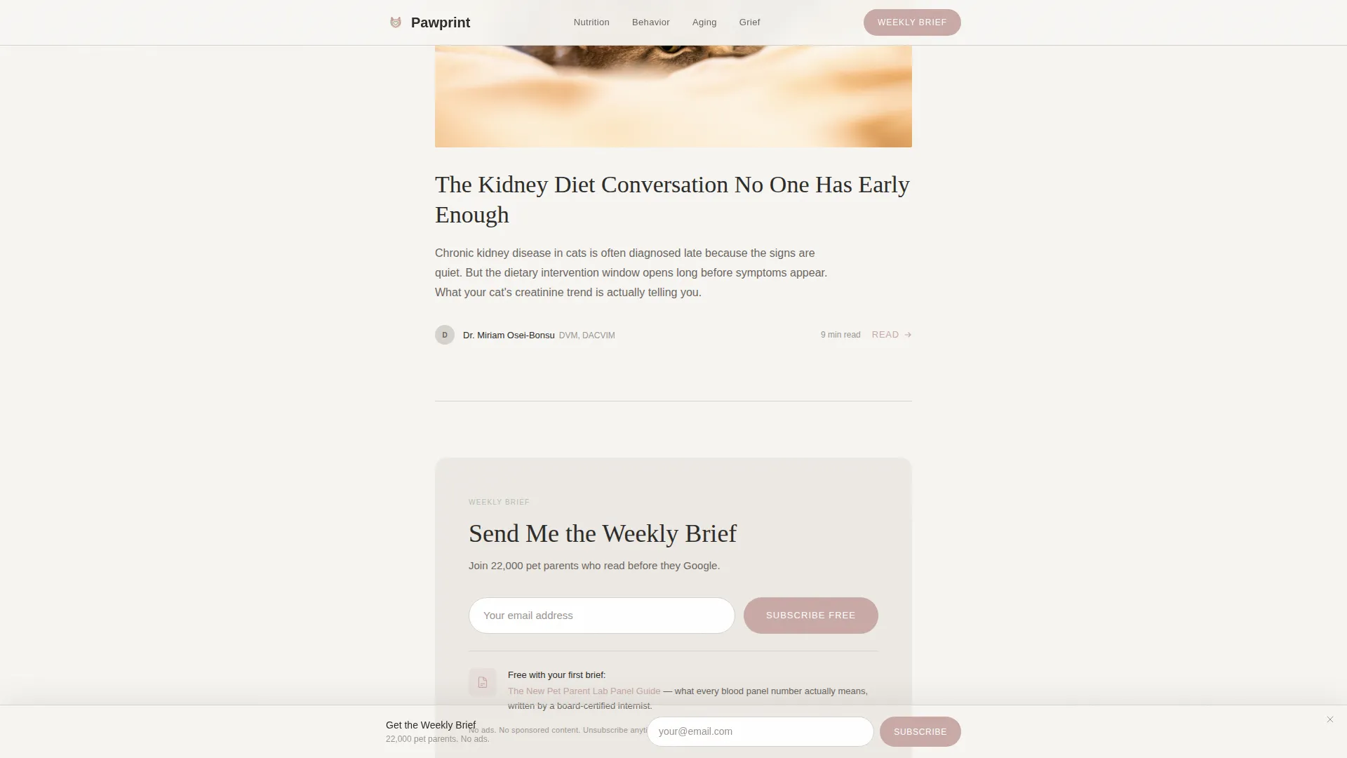 Pet Care Thought Leadership Blog Landing Page