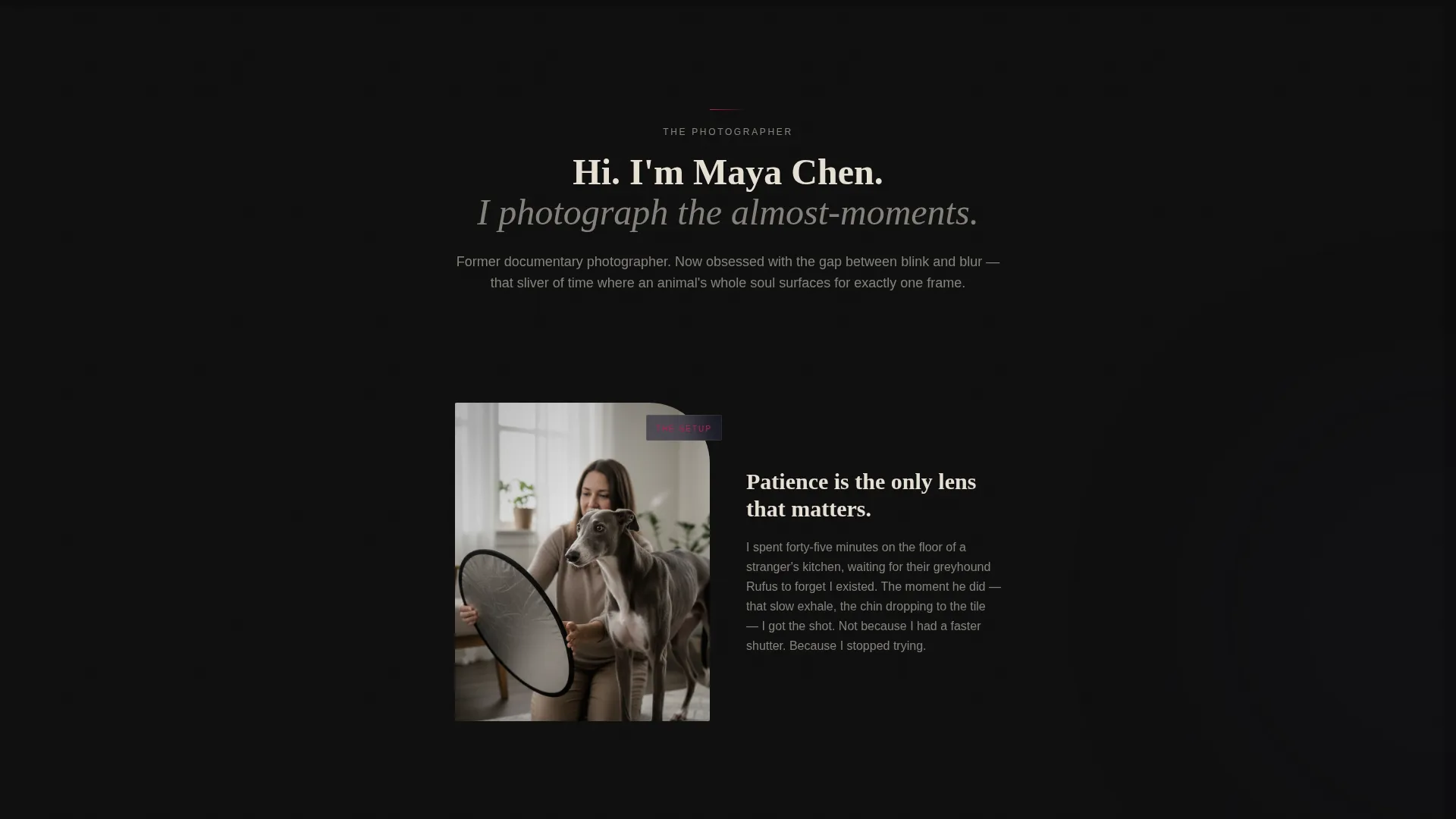 Pet Photography Blog Landing Page Template