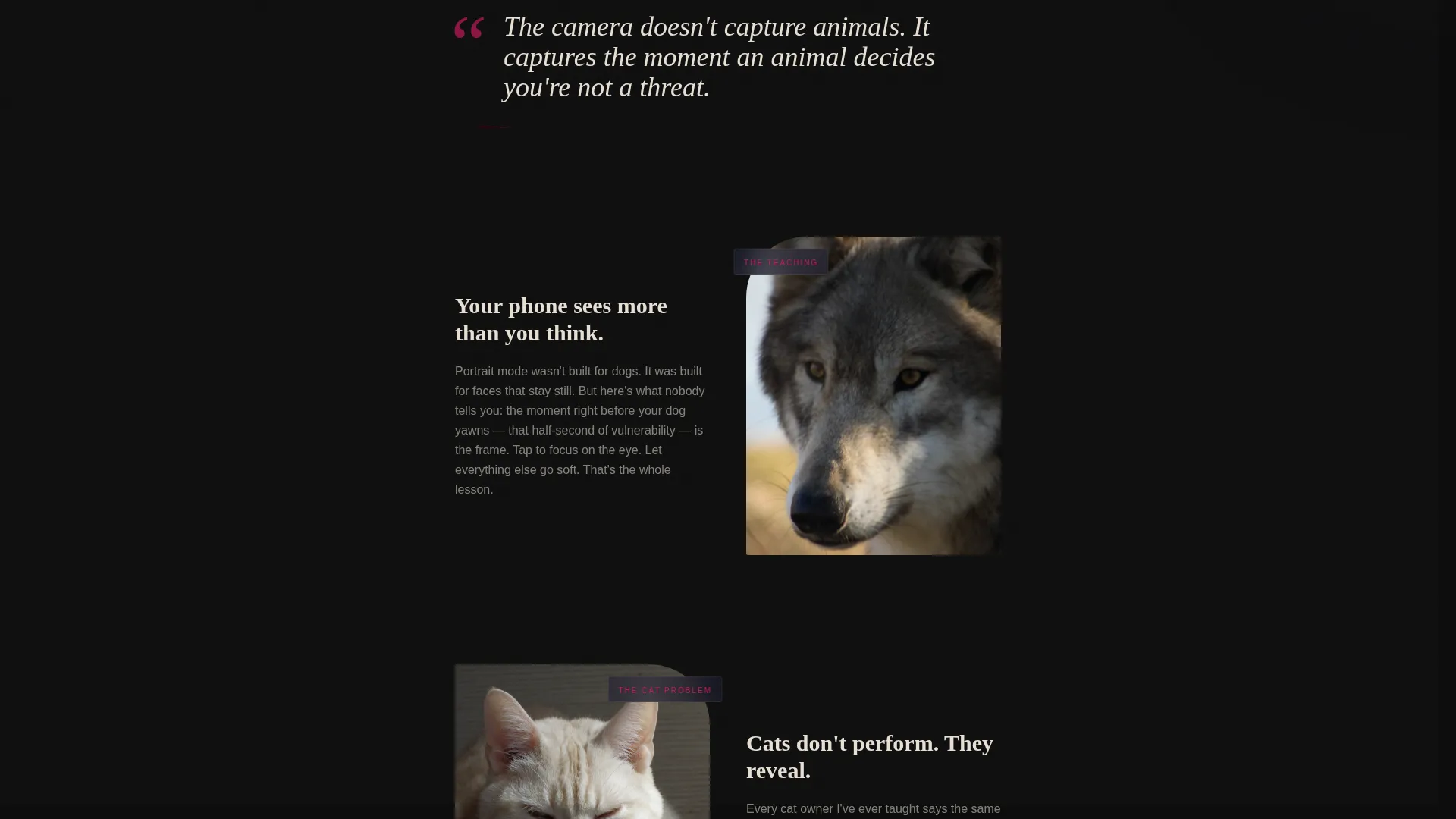 Pet Photography Blog Landing Page Template