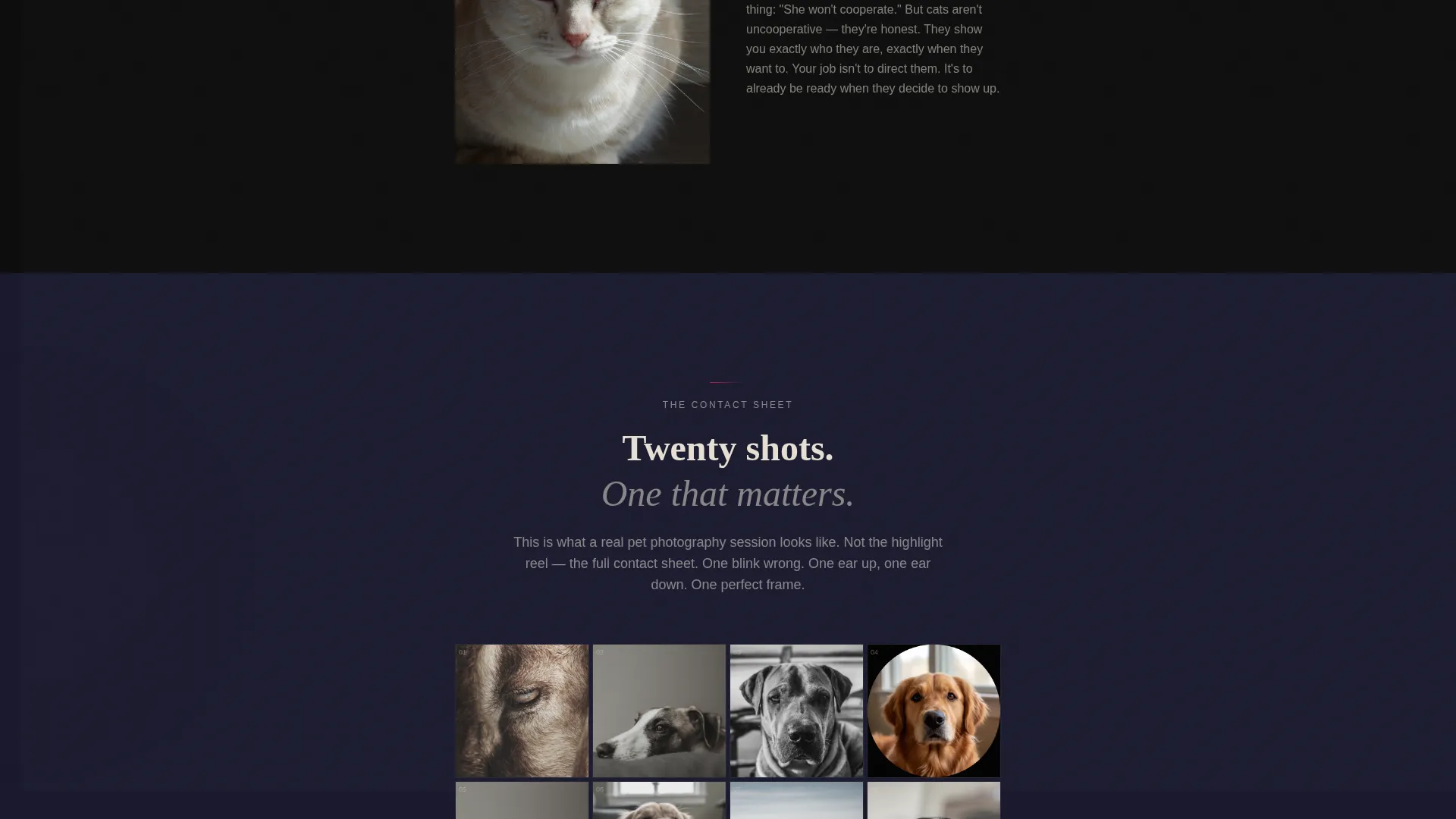 Pet Photography Blog Landing Page Template