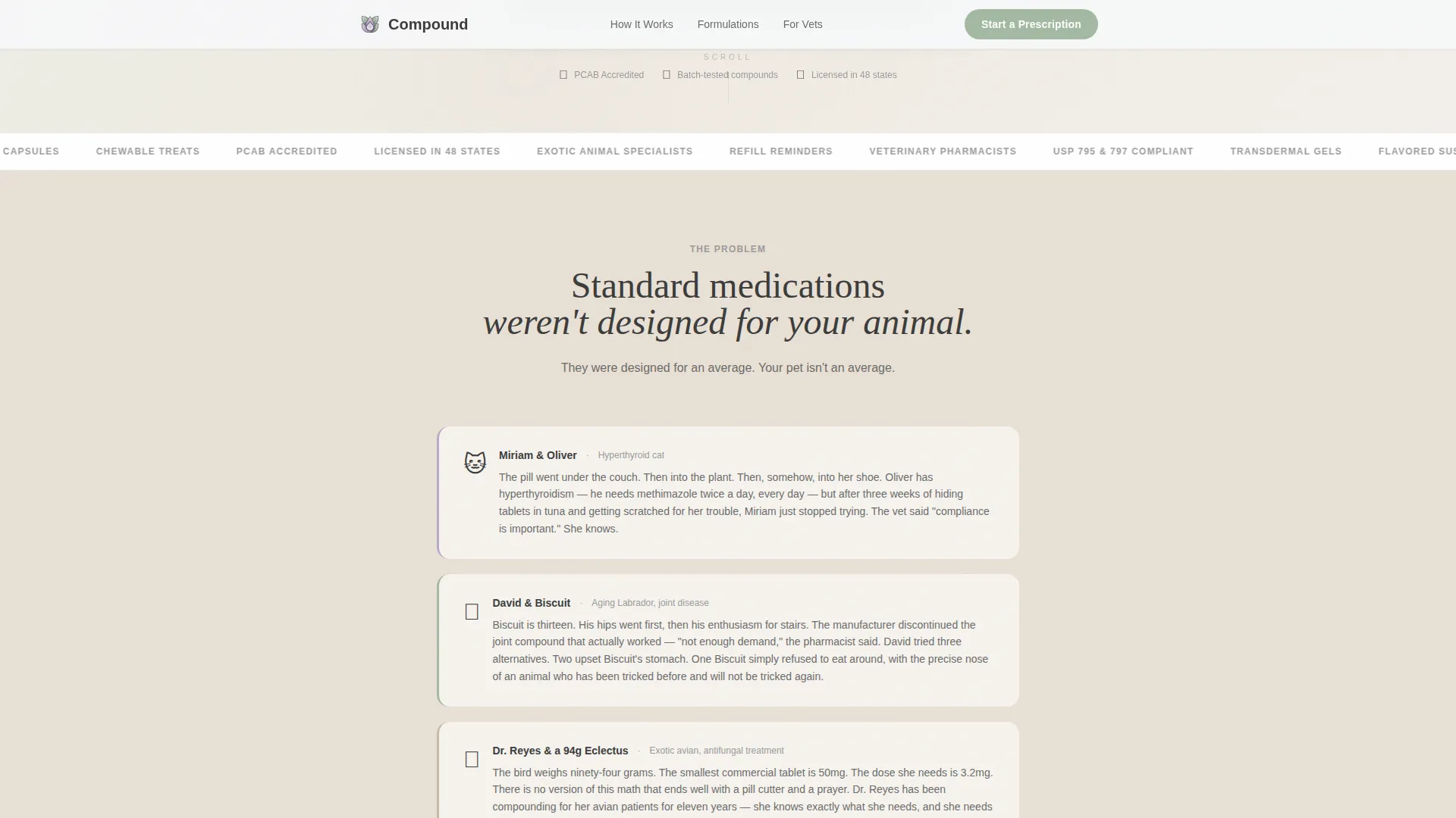 Custom Pet Pharmacy Landing Page Template