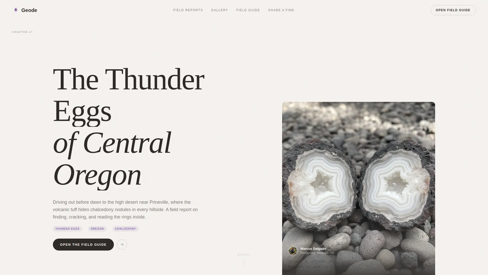 Hobby & Passion Content Blog & Content Website Template