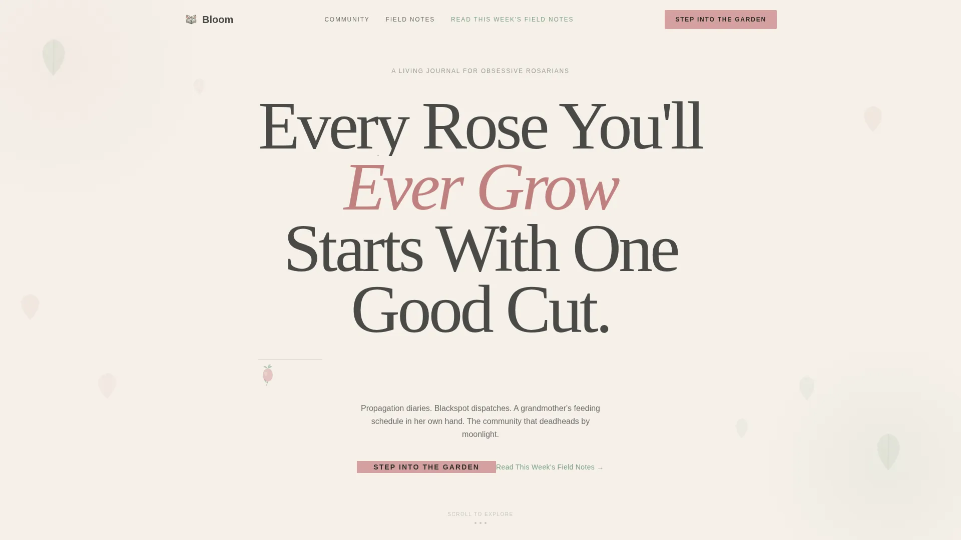 Hobby & Passion Content Residential Blog Website Template