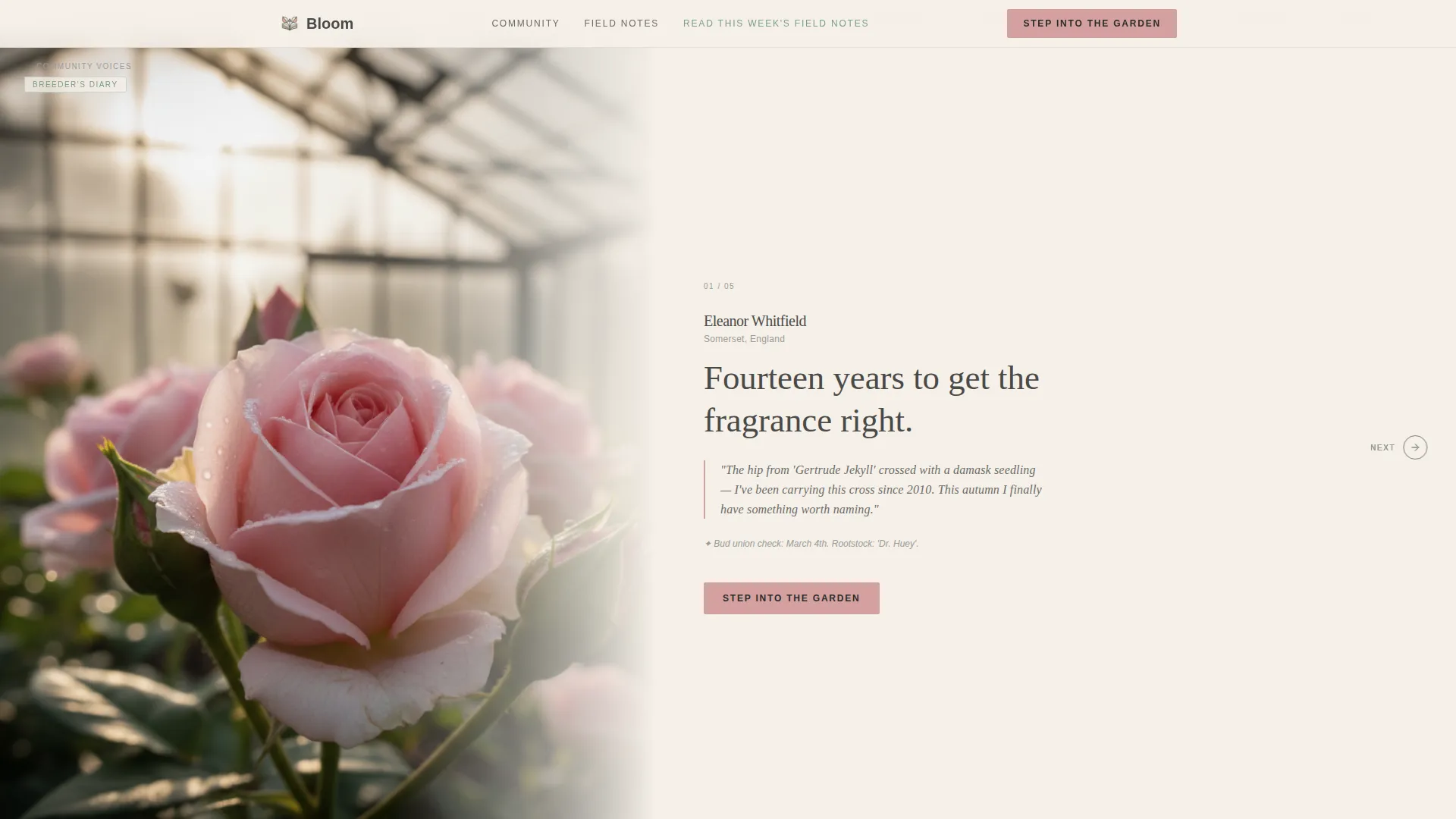 Hobby & Passion Content Residential Blog Website Template