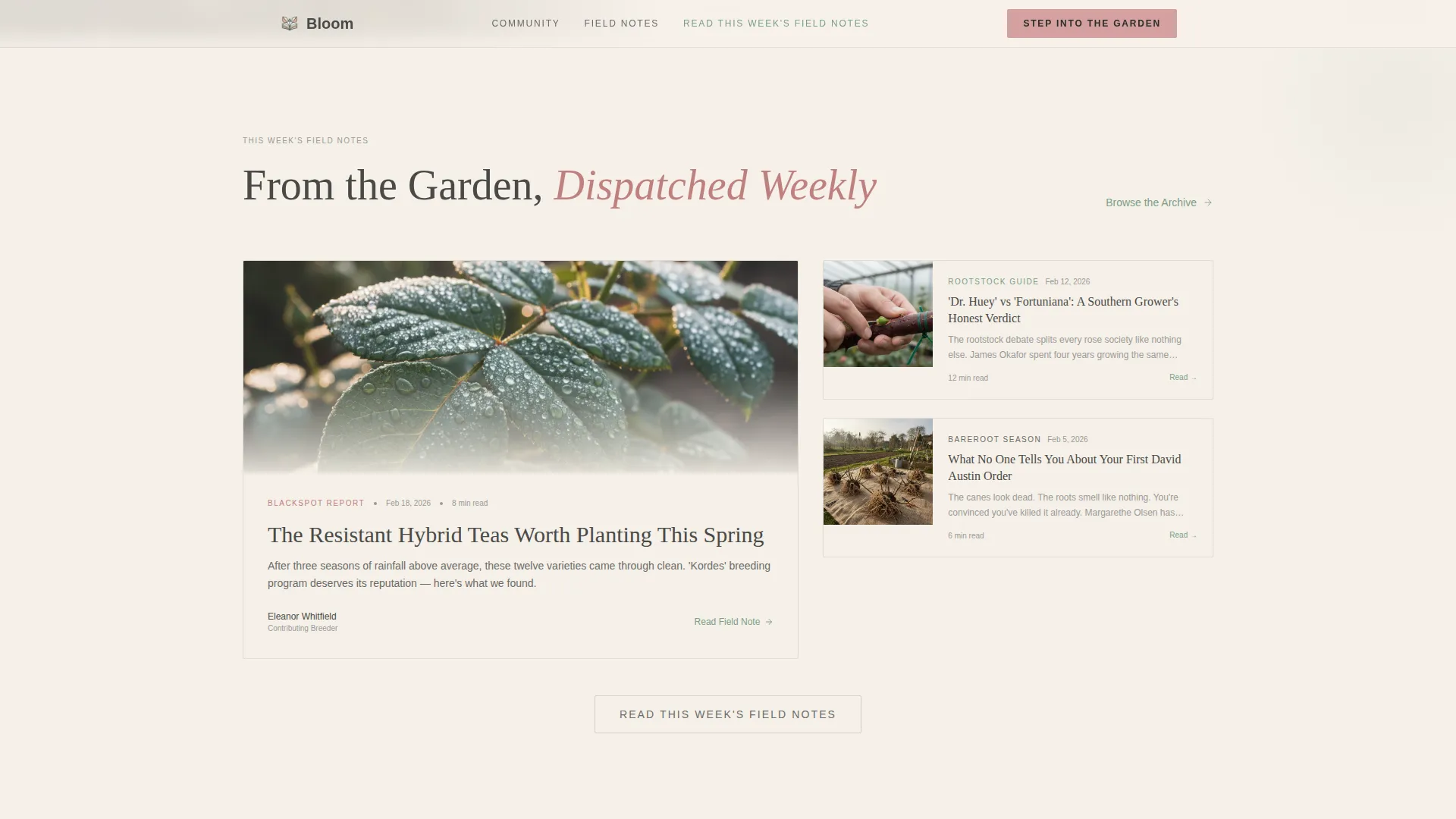Hobby & Passion Content Residential Blog Website Template