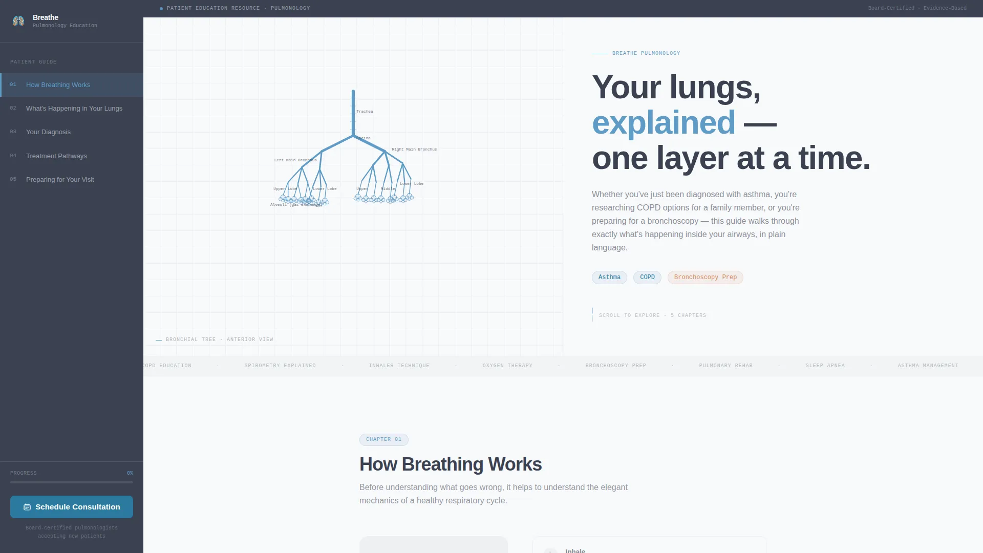 Pulmonologist Booking Website Template