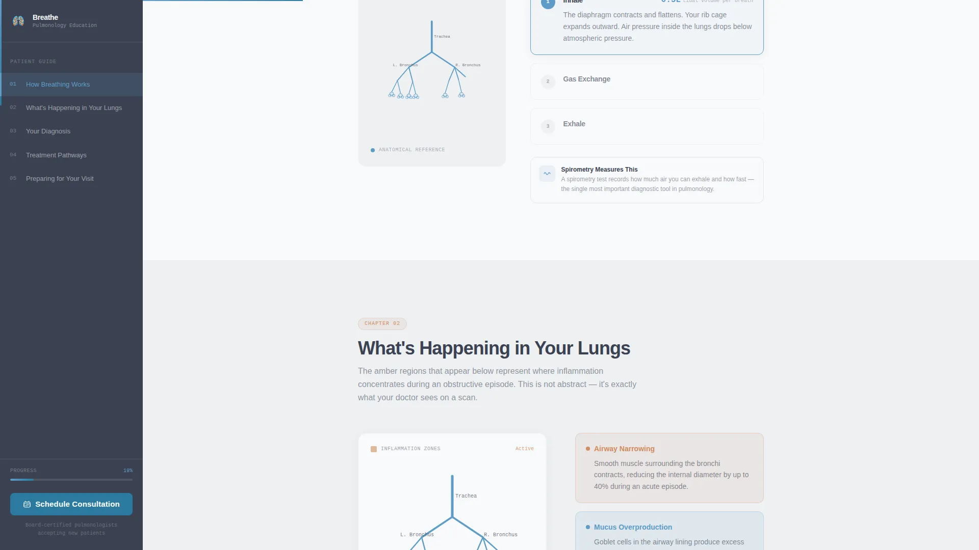 Pulmonologist Booking Website Template