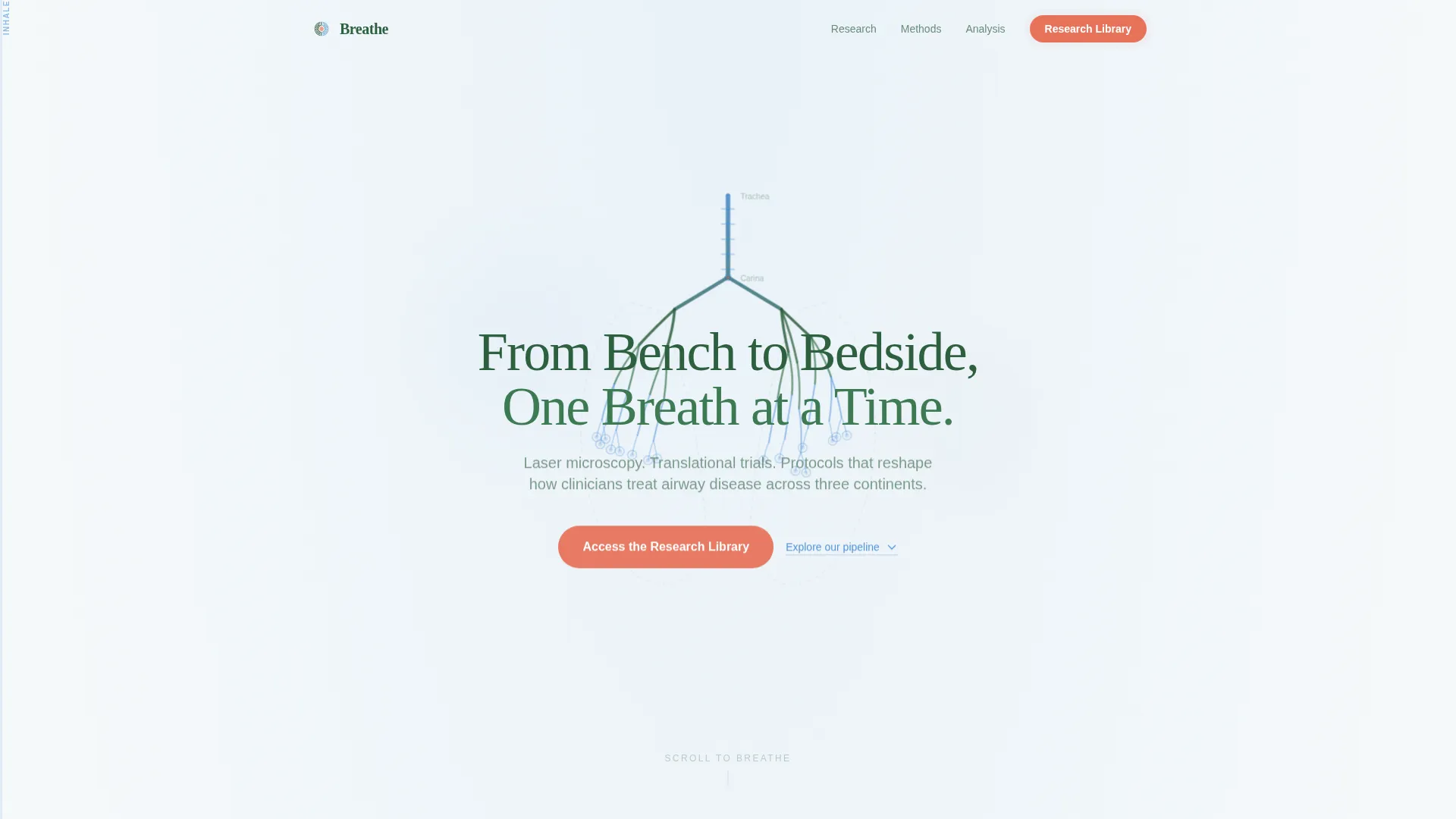 Pulmonology Medicine Specialist Professional Website Template