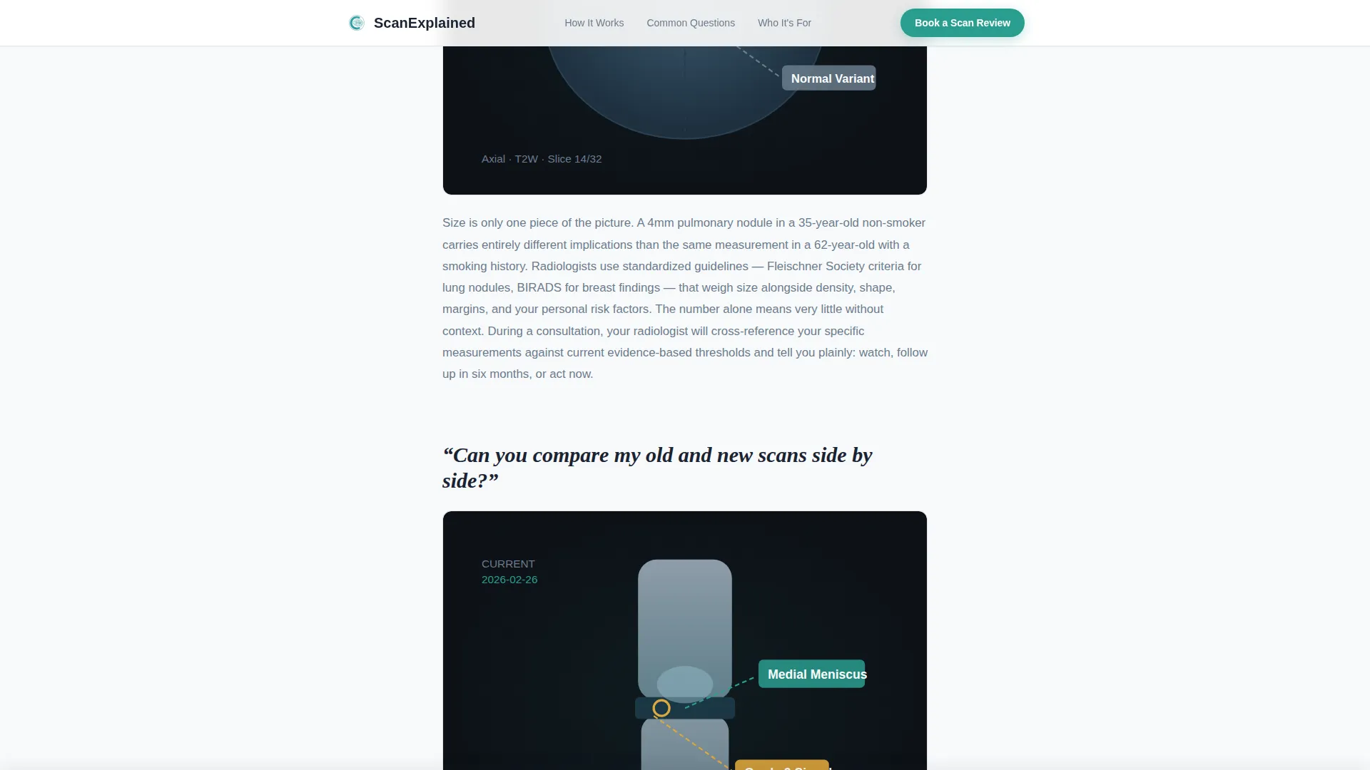 Radiologist Complete Booking Website Template