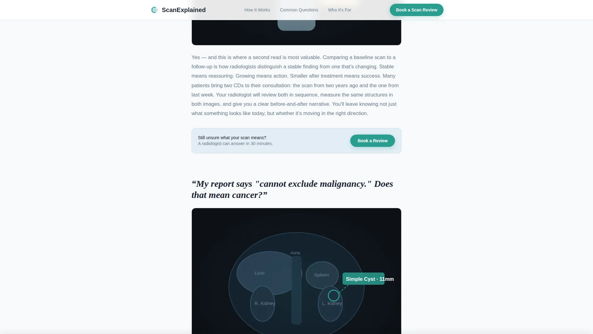 Radiologist Complete Booking Website Template