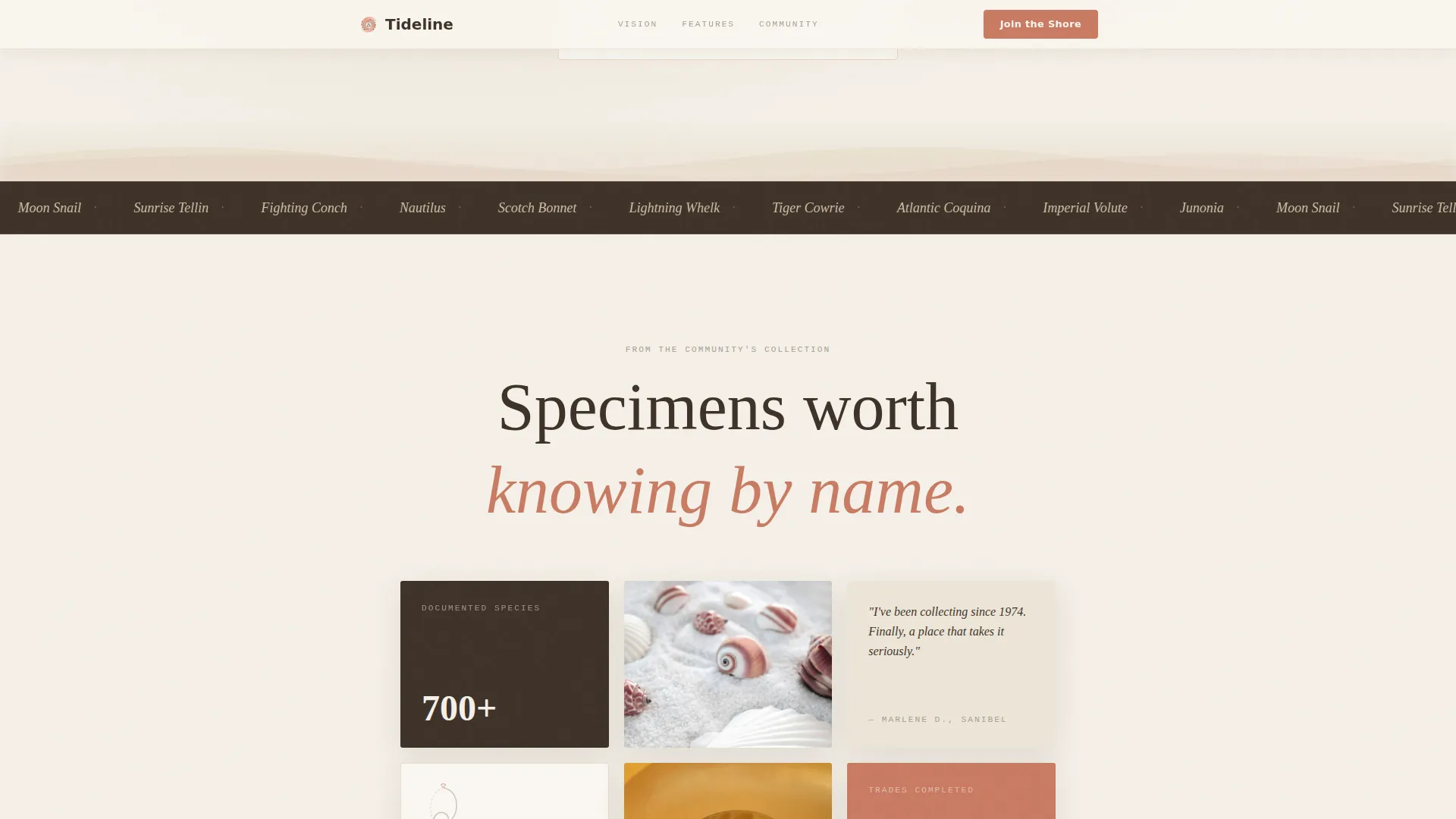 Hobby & Passion Content Premium Pre-Launch Website Template