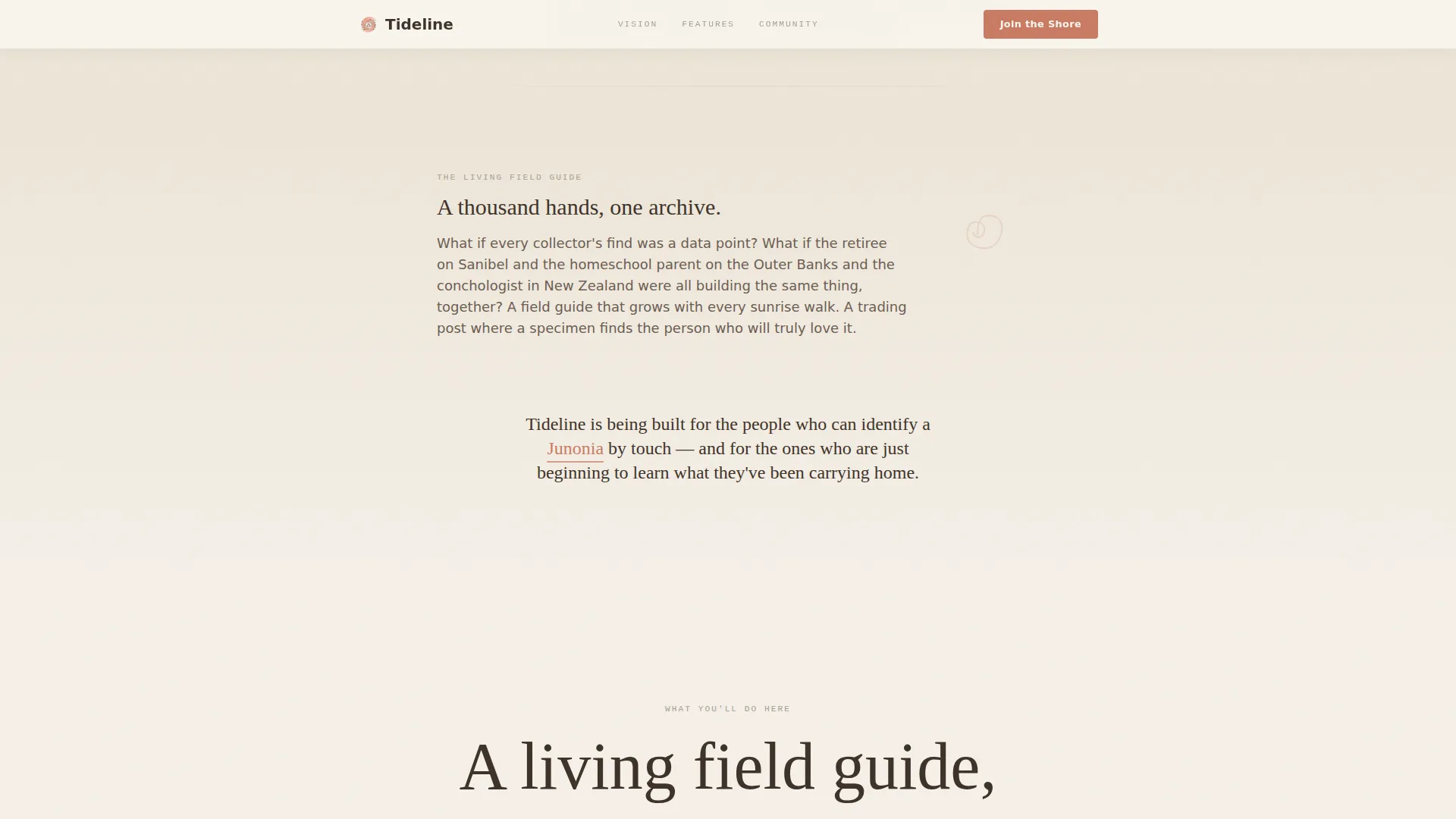 Hobby & Passion Content Premium Pre-Launch Website Template