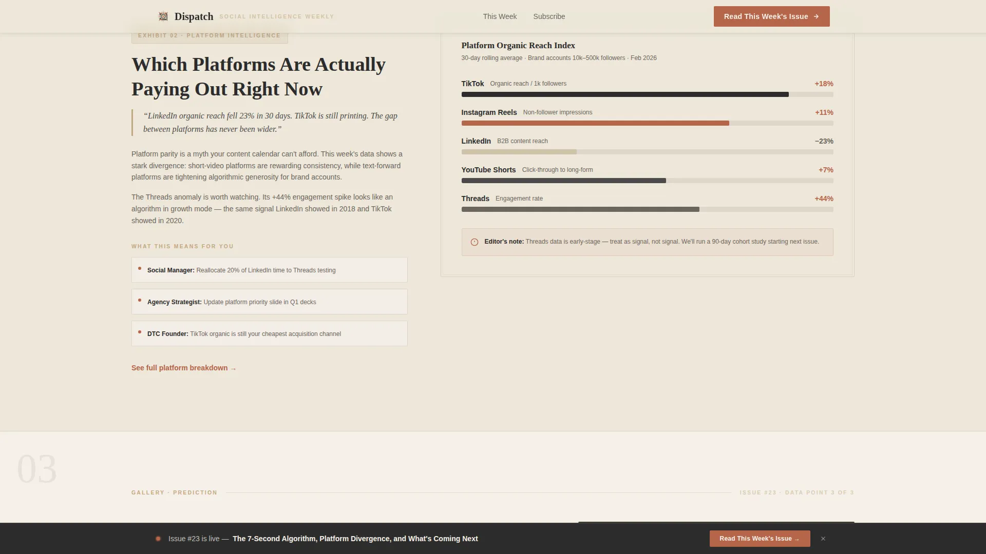 Social Media Marketing Newsletter Portfolio Website Template