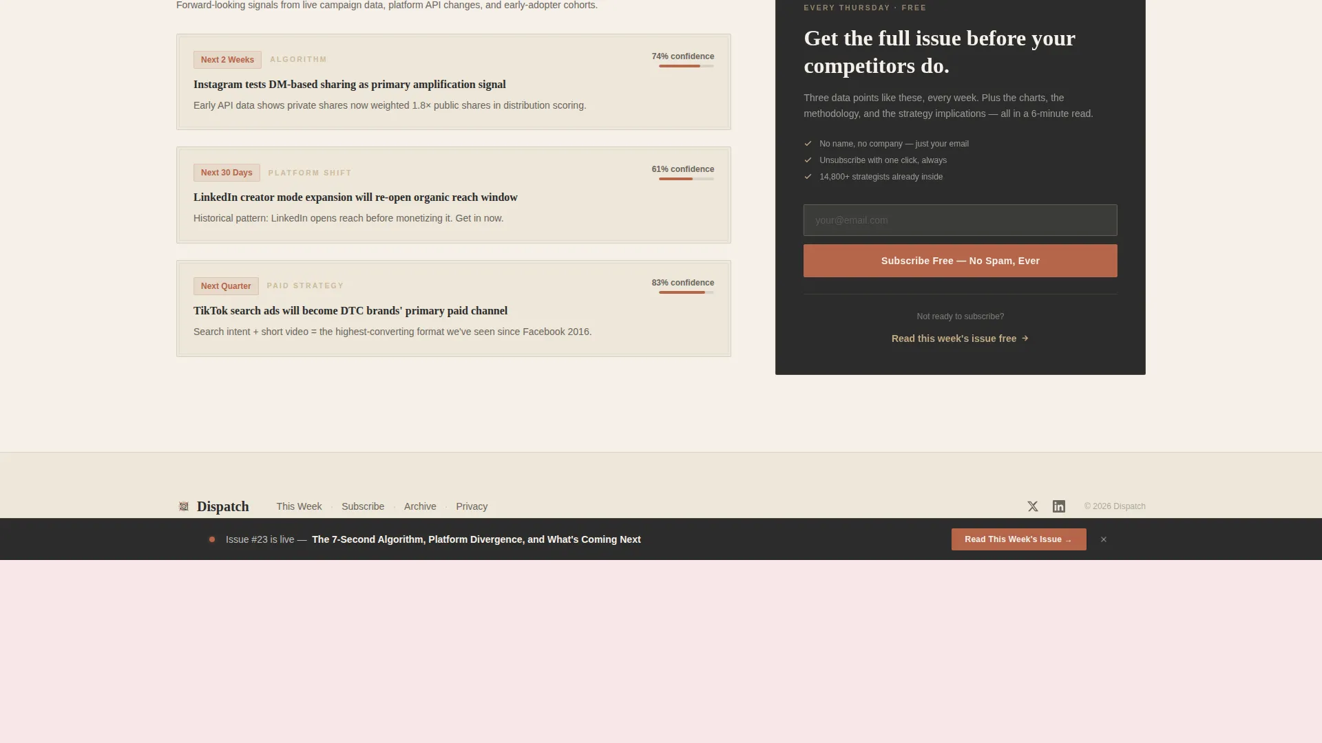 Social Media Marketing Newsletter Portfolio Website Template