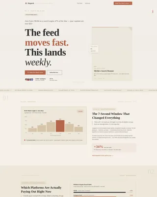 Social Media Marketing Newsletter Portfolio Website Template