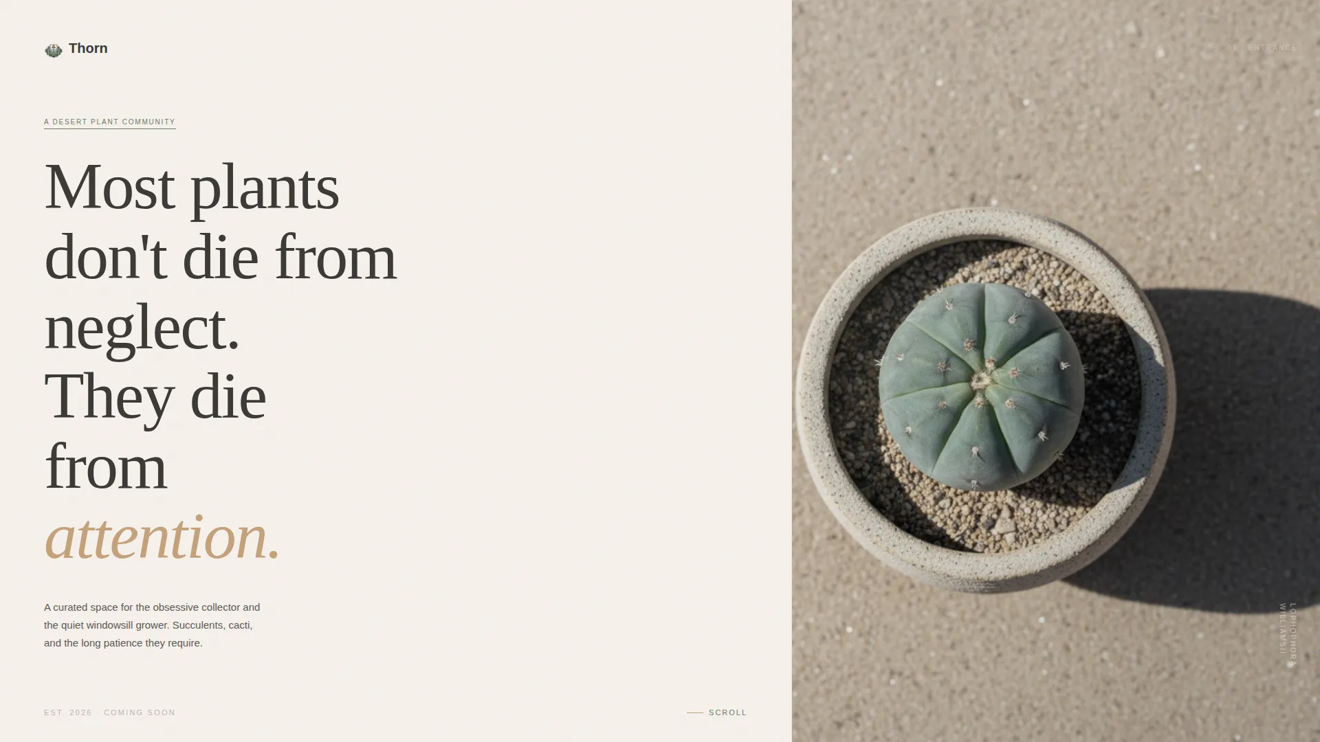 Hobby & Passion Content Online Pre-Launch Website Template