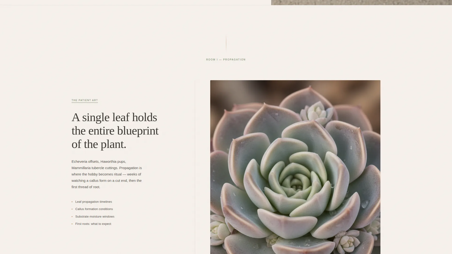 Hobby & Passion Content Online Pre-Launch Website Template