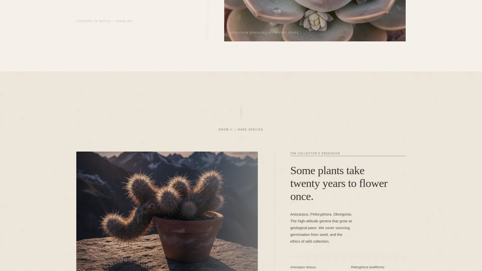 Hobby & Passion Content Online Pre-Launch Website Template