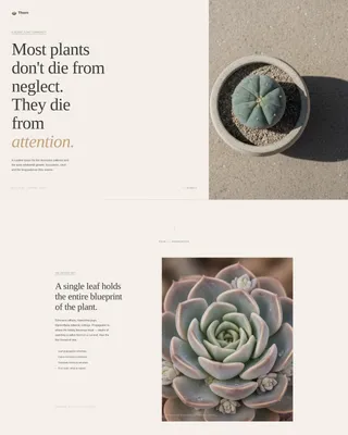 Hobby & Passion Content Online Pre-Launch Website Template