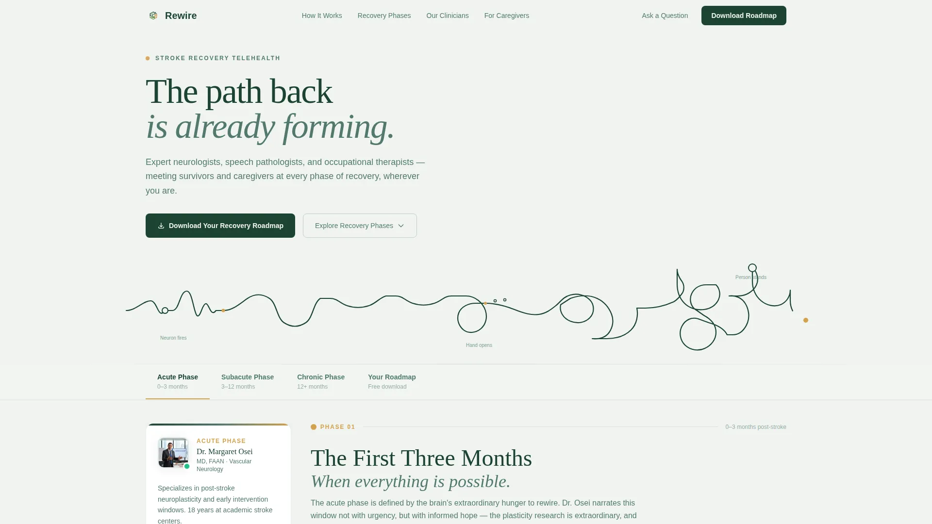 Stroke Recovery Telehealth Landing Page Template