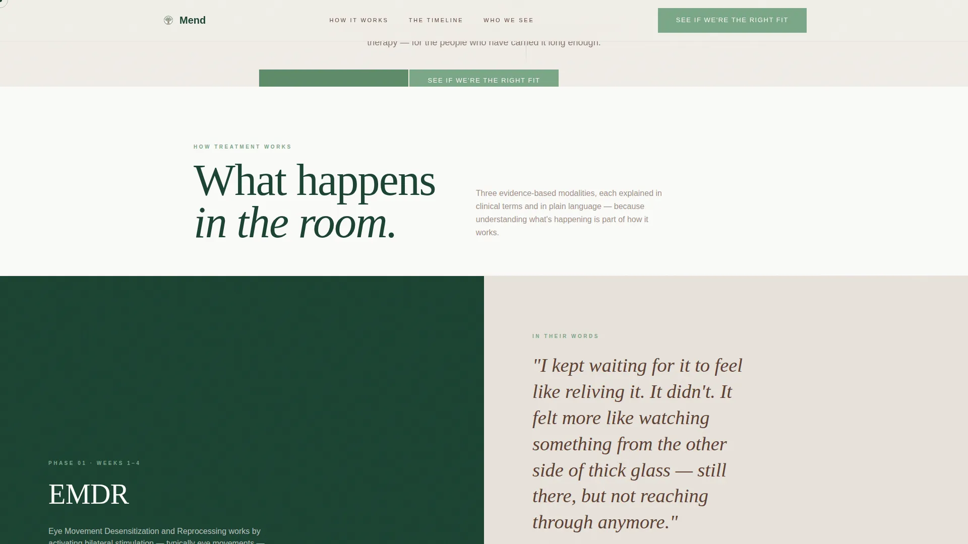 Trauma & PTSD Treatment Center Landing Page Template