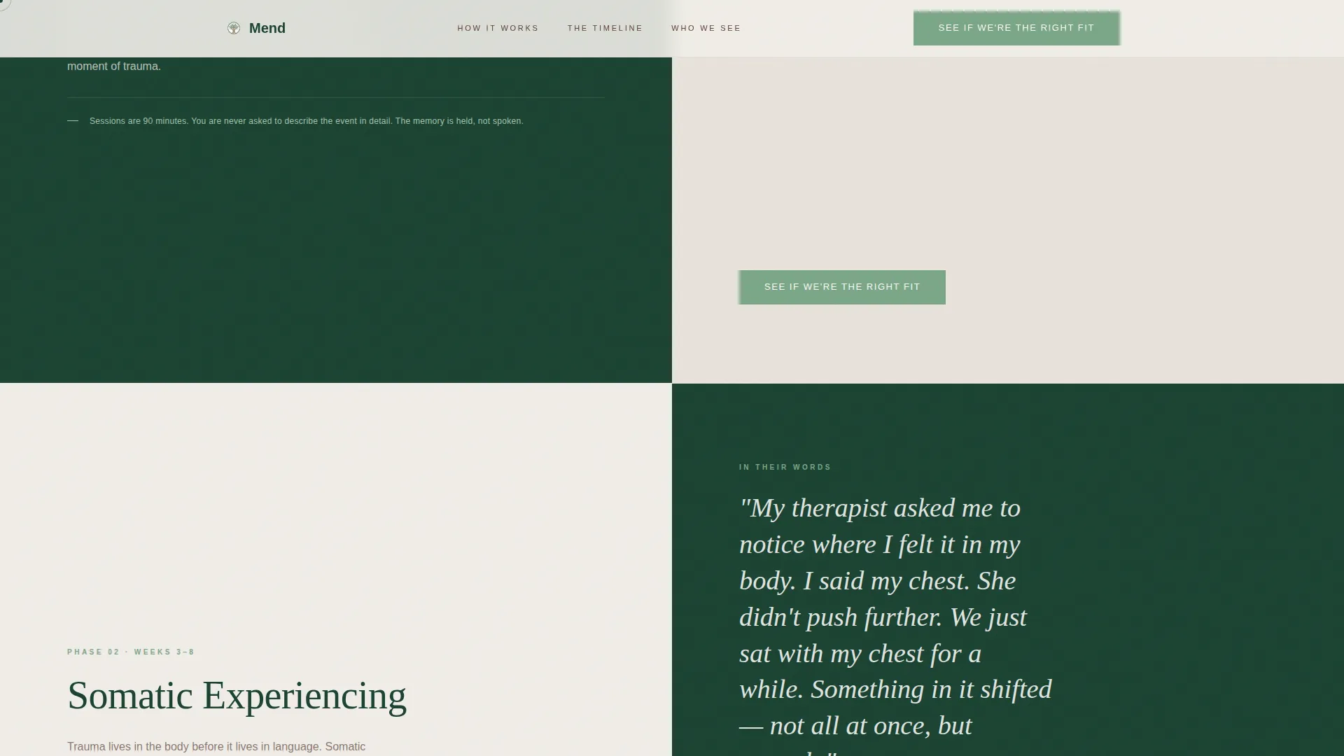 Trauma & PTSD Treatment Center Landing Page Template