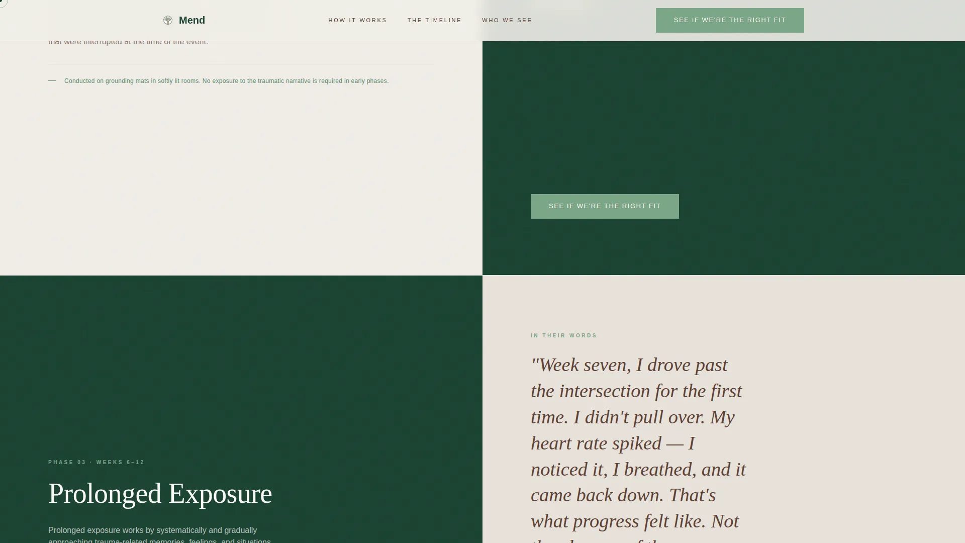 Trauma & PTSD Treatment Center Landing Page Template