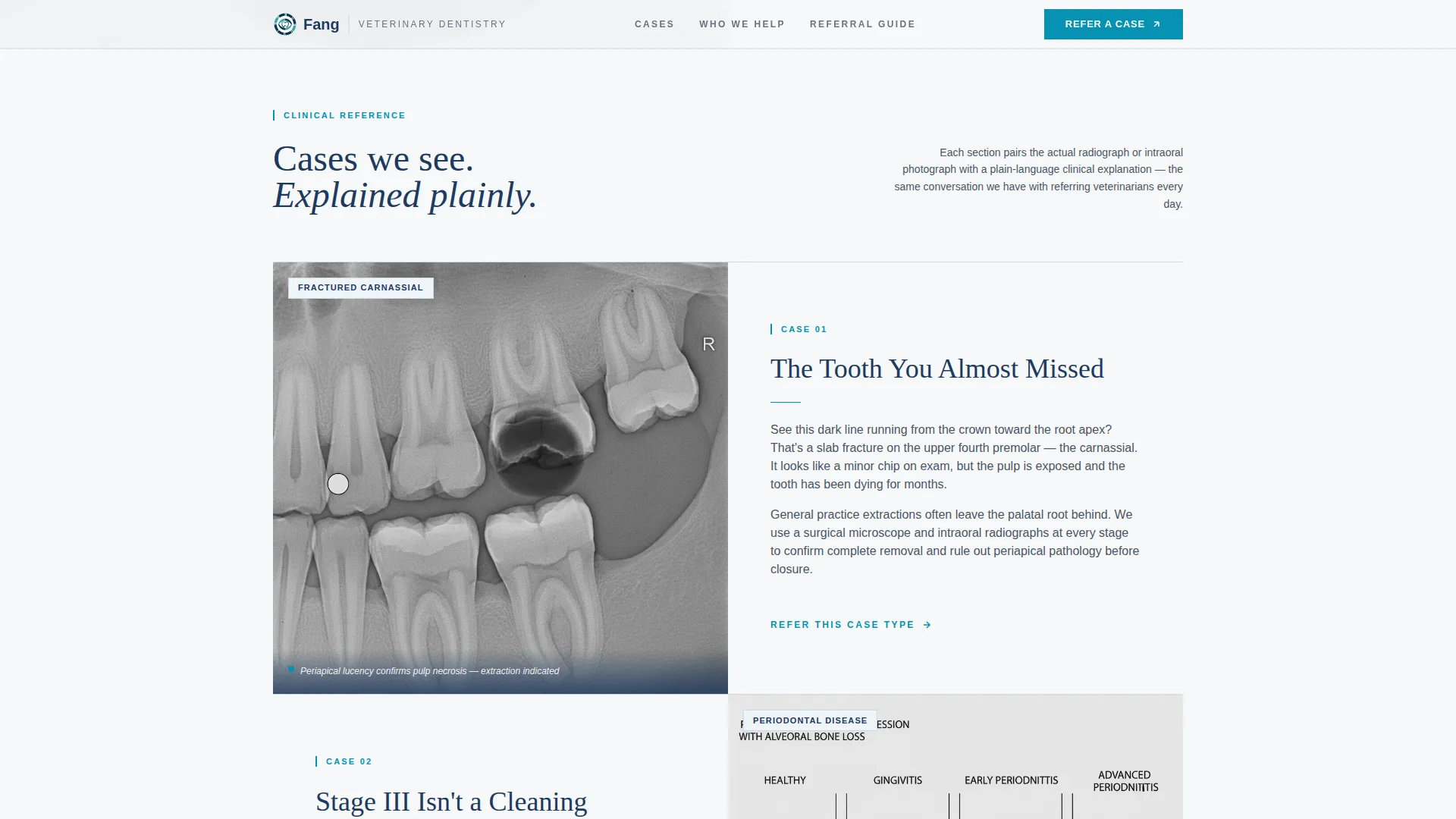 Veterinary Dental Specialty Landing Page Template