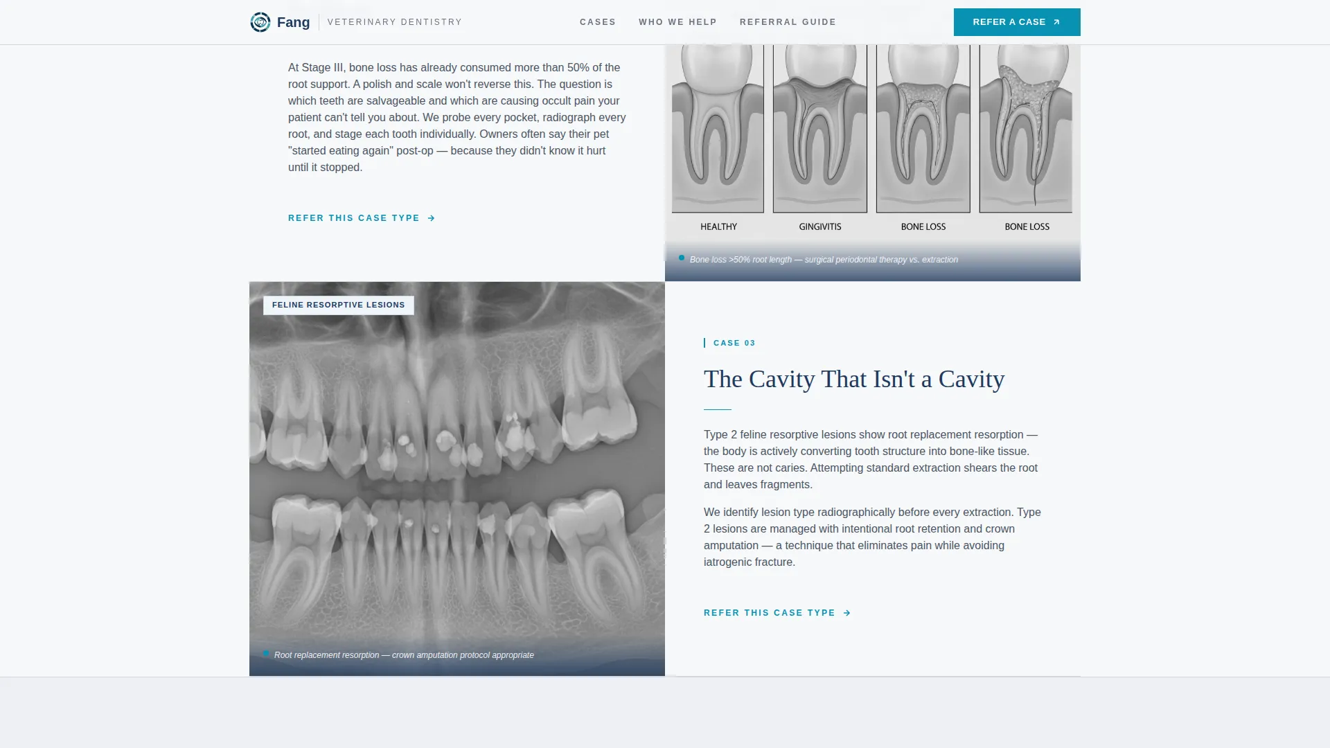 Veterinary Dental Specialty Landing Page Template